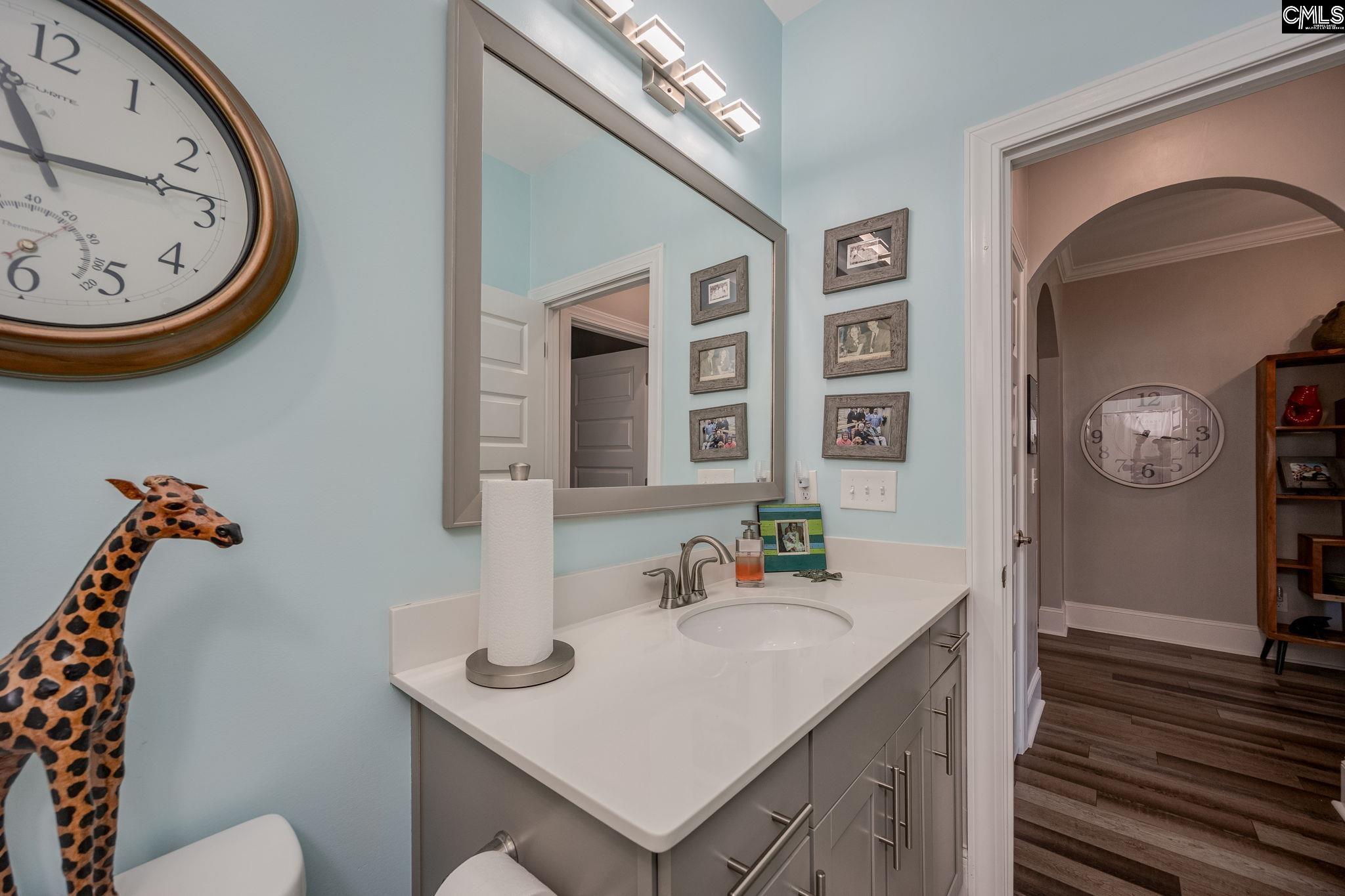 820 Dutchmaster Drive Chapin, SC 29036