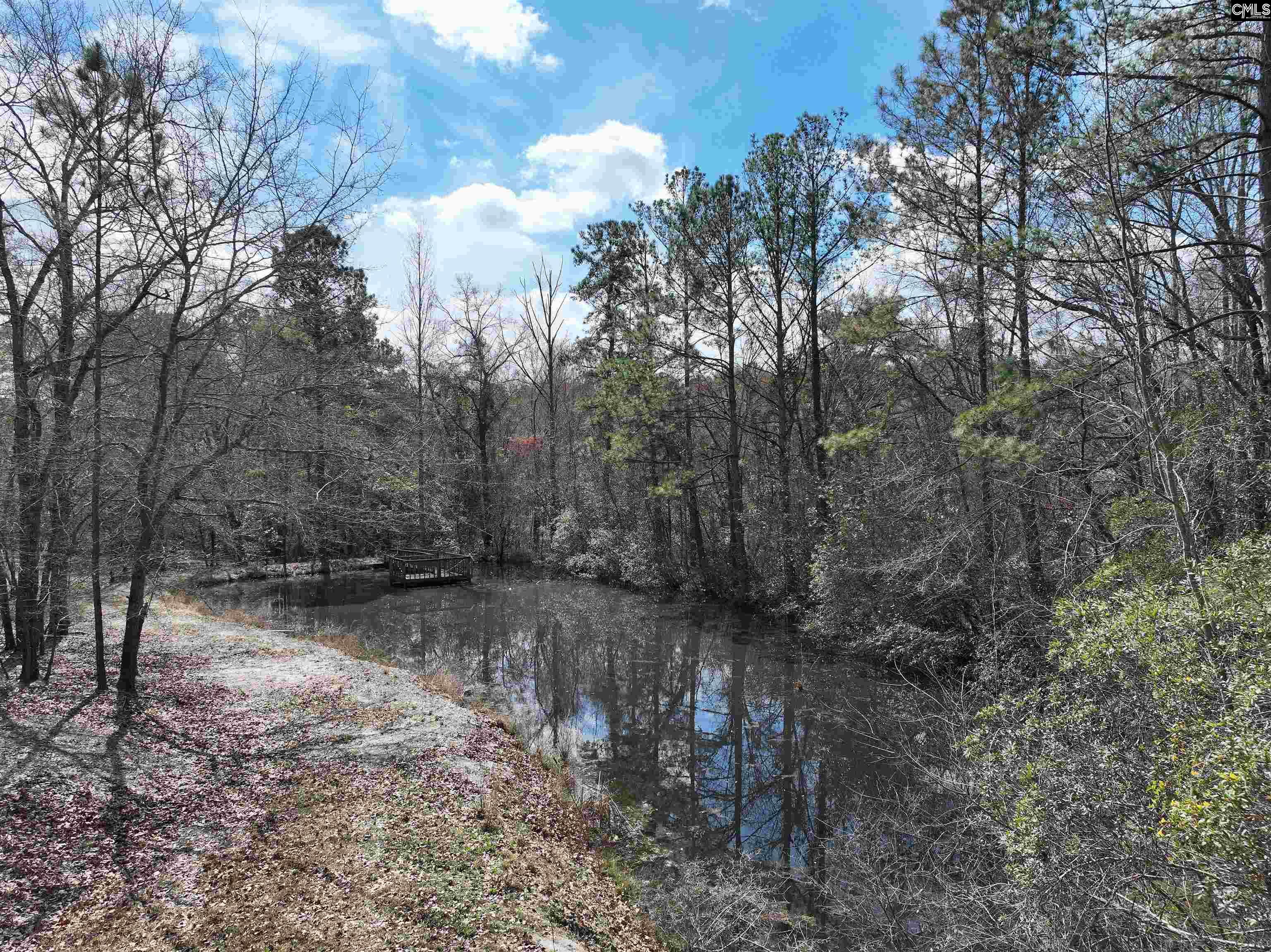 141 Woodstork Way Lexington, SC 29073