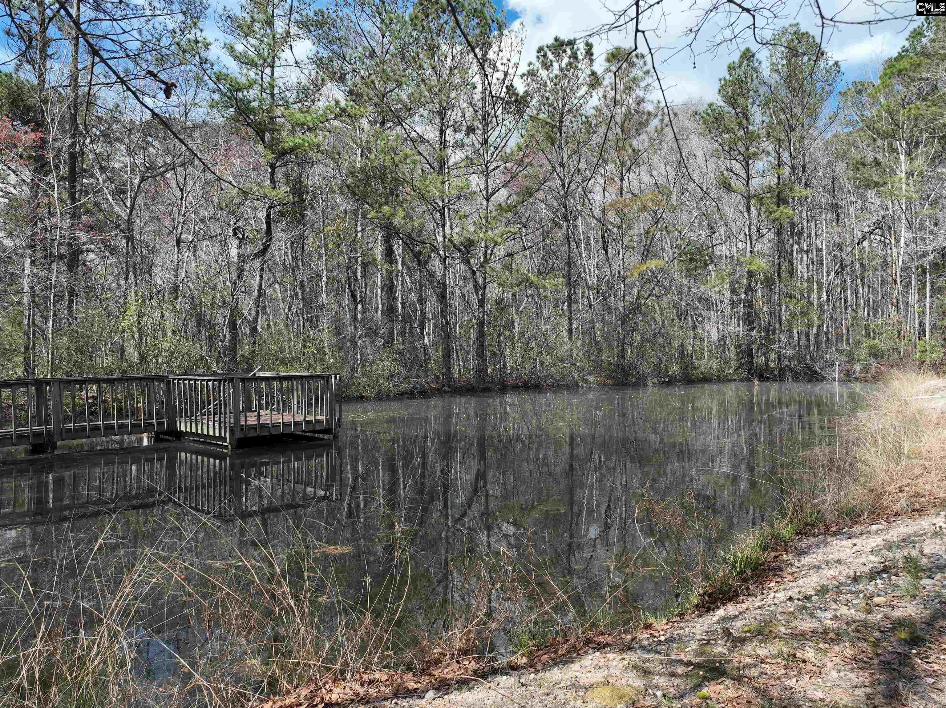 141 Woodstork Way Lexington, SC 29073