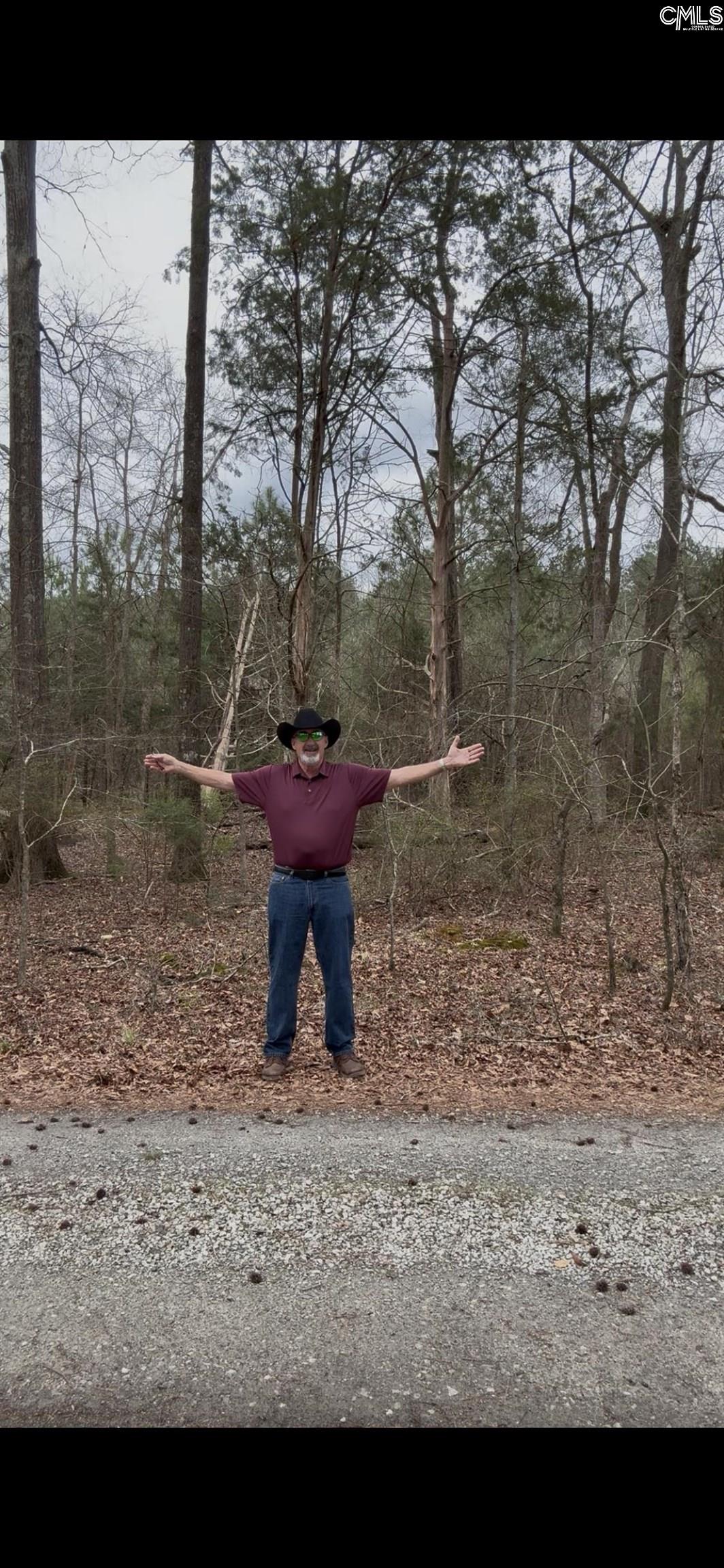 Lot 7 Meadows Lane UNIT Lot 7 Saluda, SC 29006