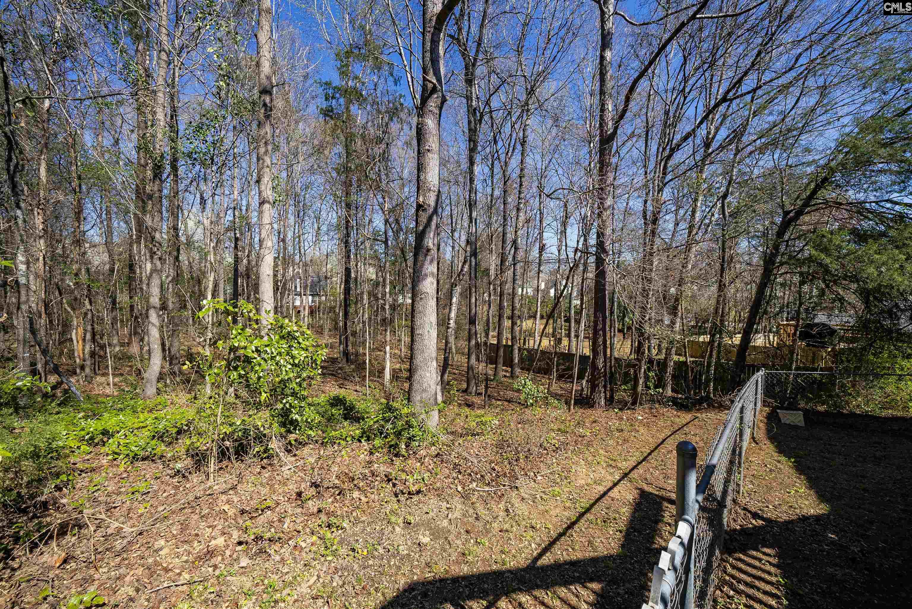 6 Gidding Court Irmo, SC 29063