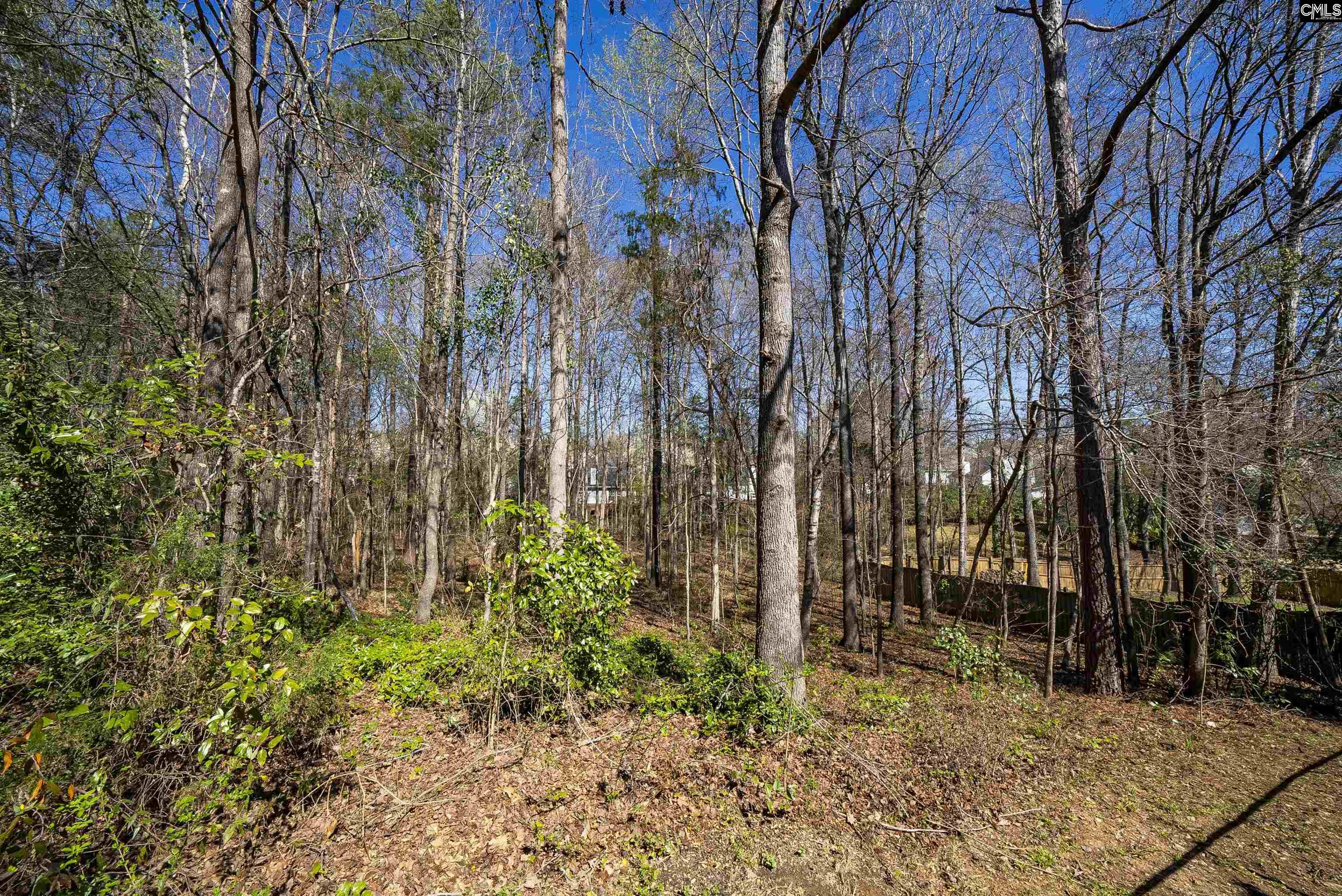 6 Gidding Court Irmo, SC 29063