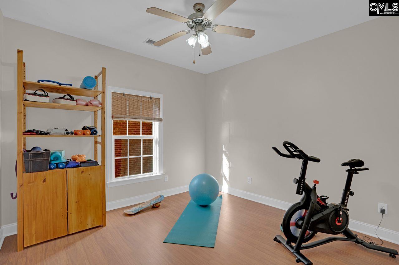 180 Palm Street Chapin, SC 29036