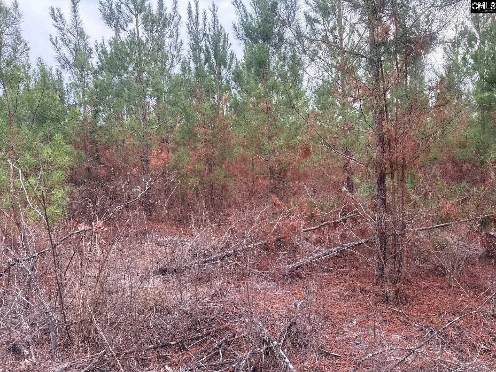 QBF 12 Nurnberg Drive Batesburg, SC 29070