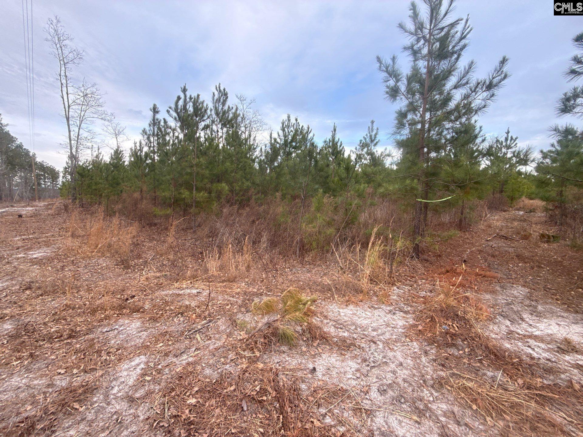 QBF 12 Nurnberg Drive Batesburg, SC 29070