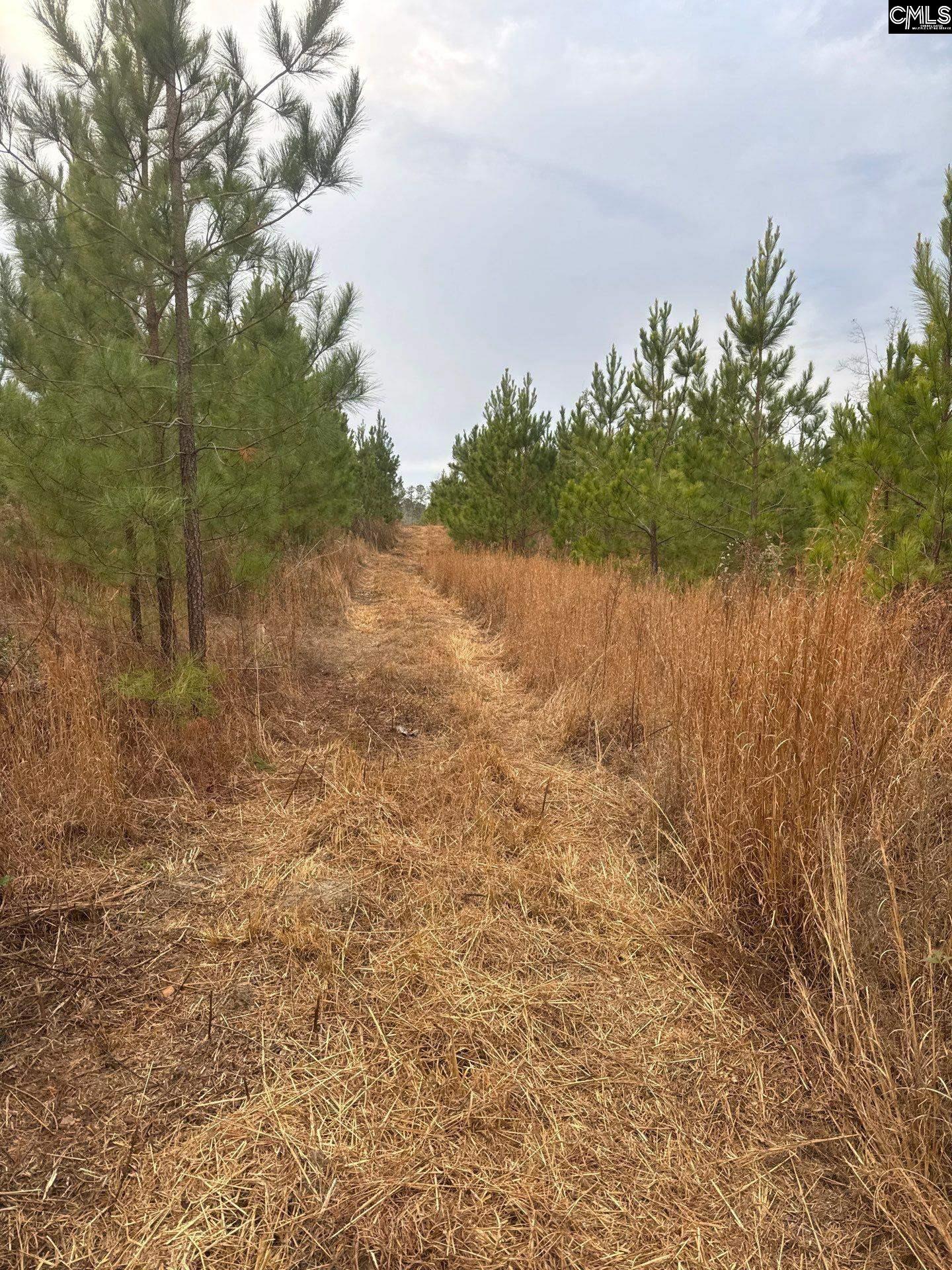 QBF 12 Nurnberg Drive Batesburg, SC 29070