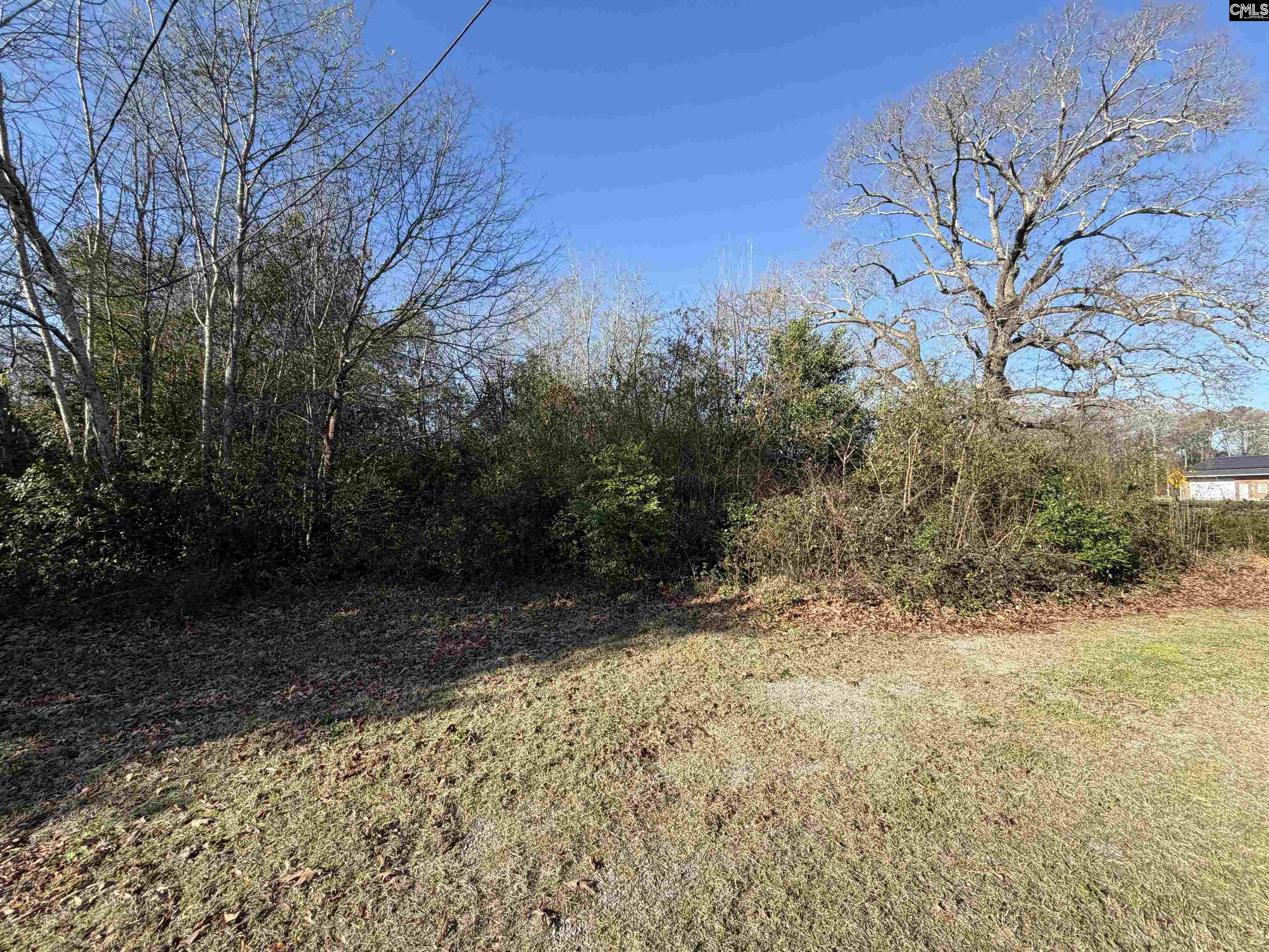 105 Main Street Bethune, SC 29009-0000