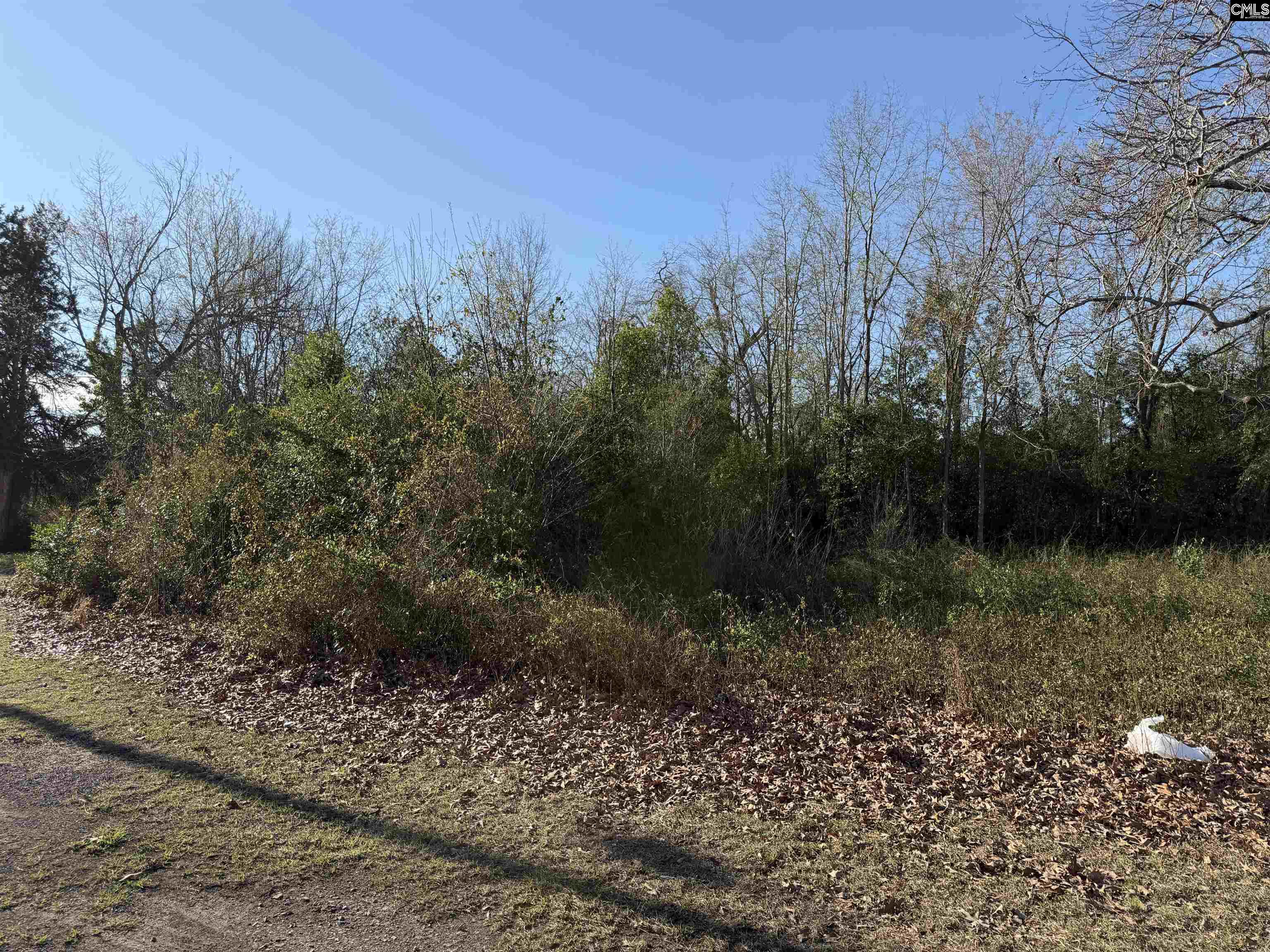 105 Main Street Bethune, SC 29009-0000