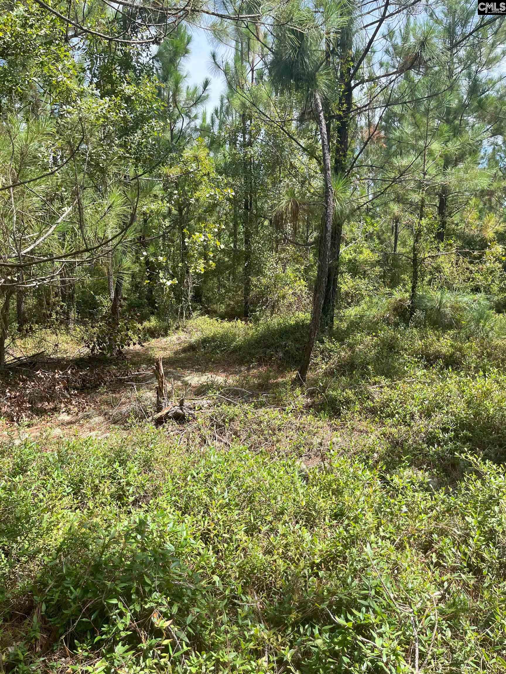 PPF 14 Payne Pond Road Westville, SC 29175