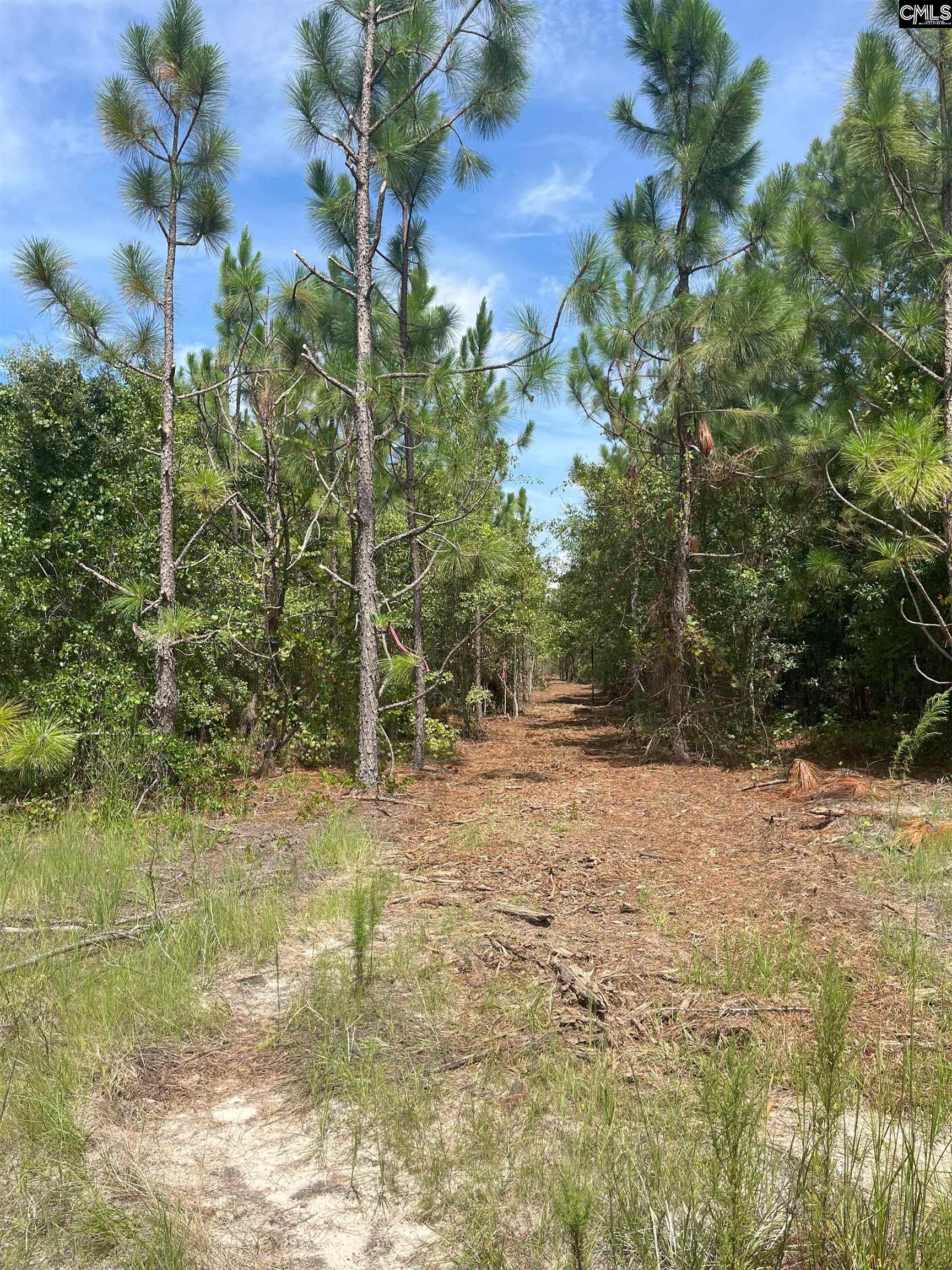 PPF 14 Payne Pond Road Westville, SC 29175