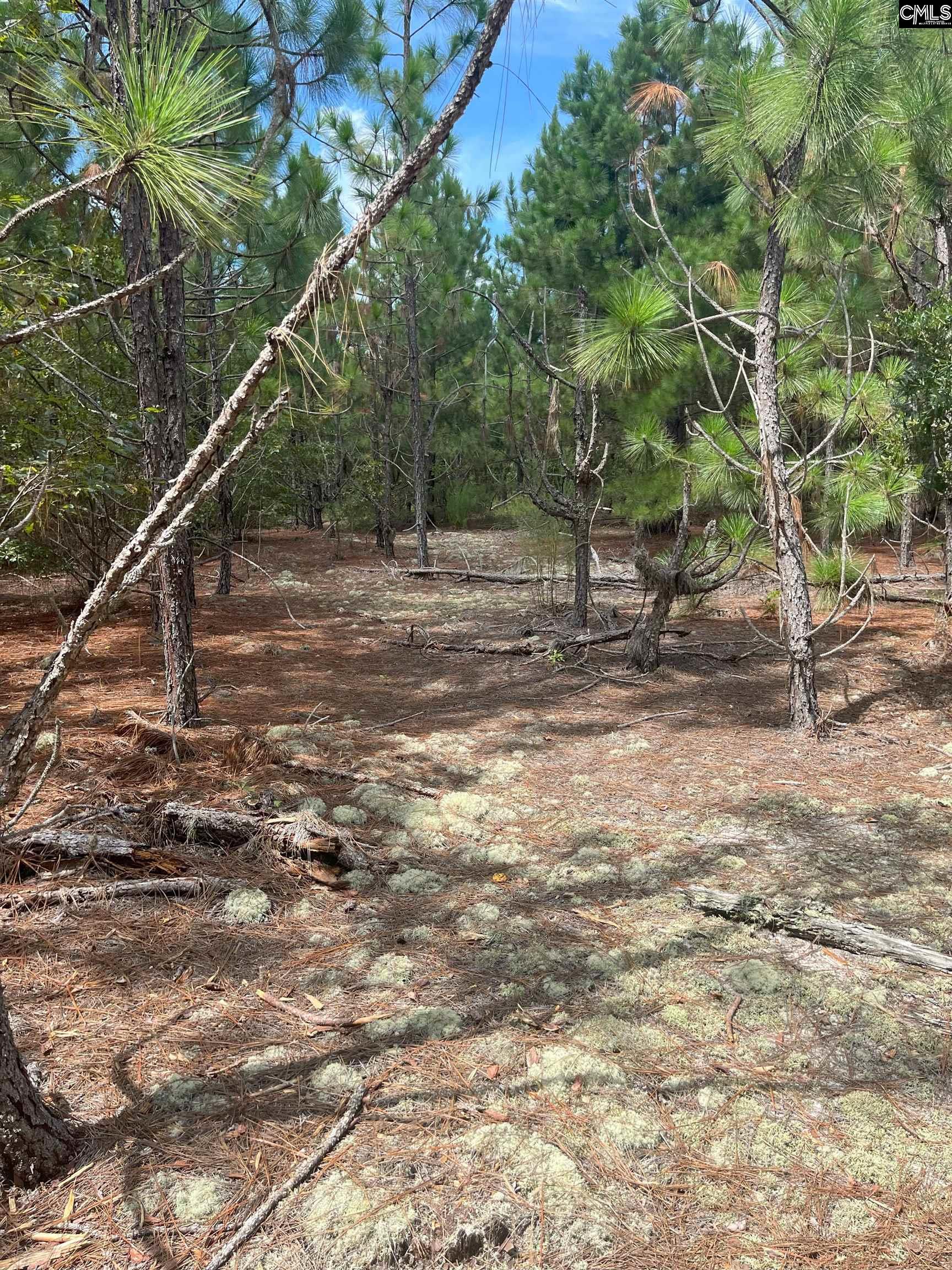 PPF 14 Payne Pond Road Westville, SC 29175