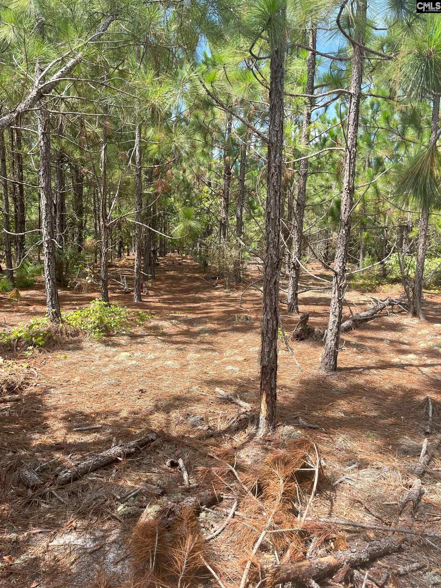 PPF 14 Payne Pond Road Westville, SC 29175