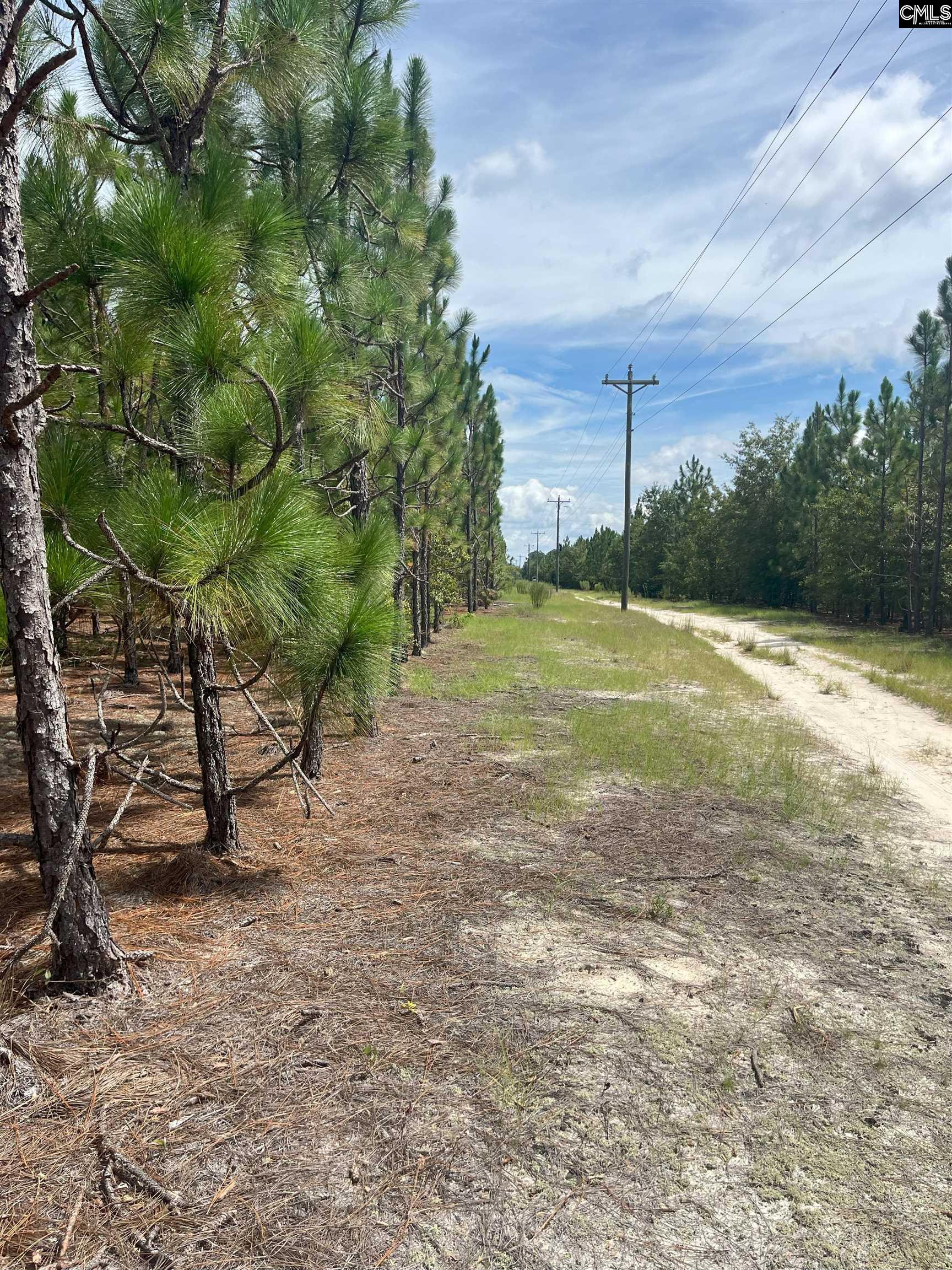 PPF 14 Payne Pond Road Westville, SC 29175