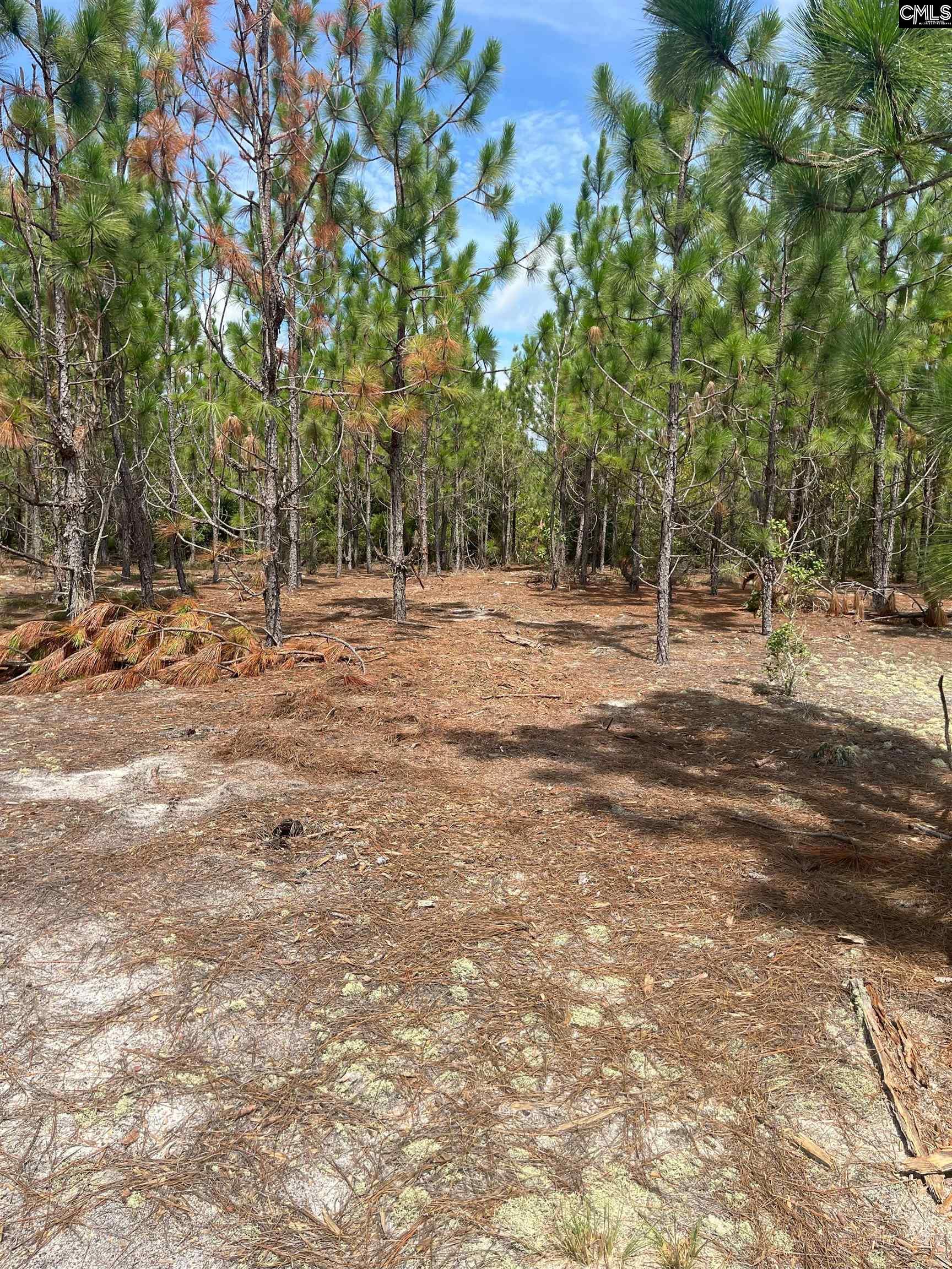 PPF 17 Payne Pond Road Westville, SC 29175
