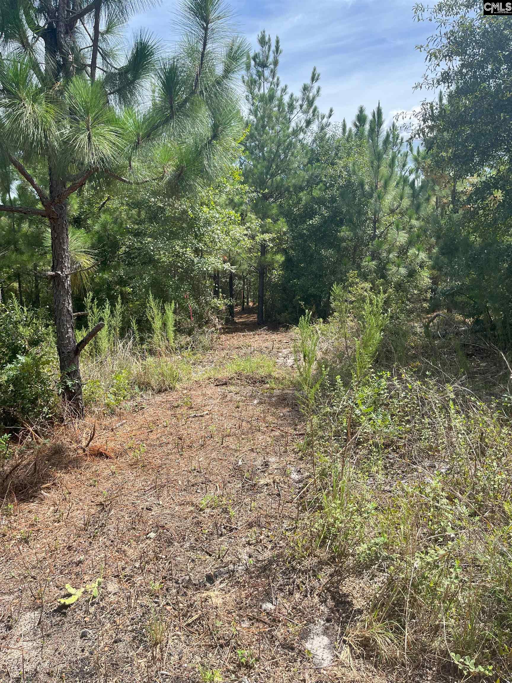 PPF 17 Payne Pond Road Westville, SC 29175