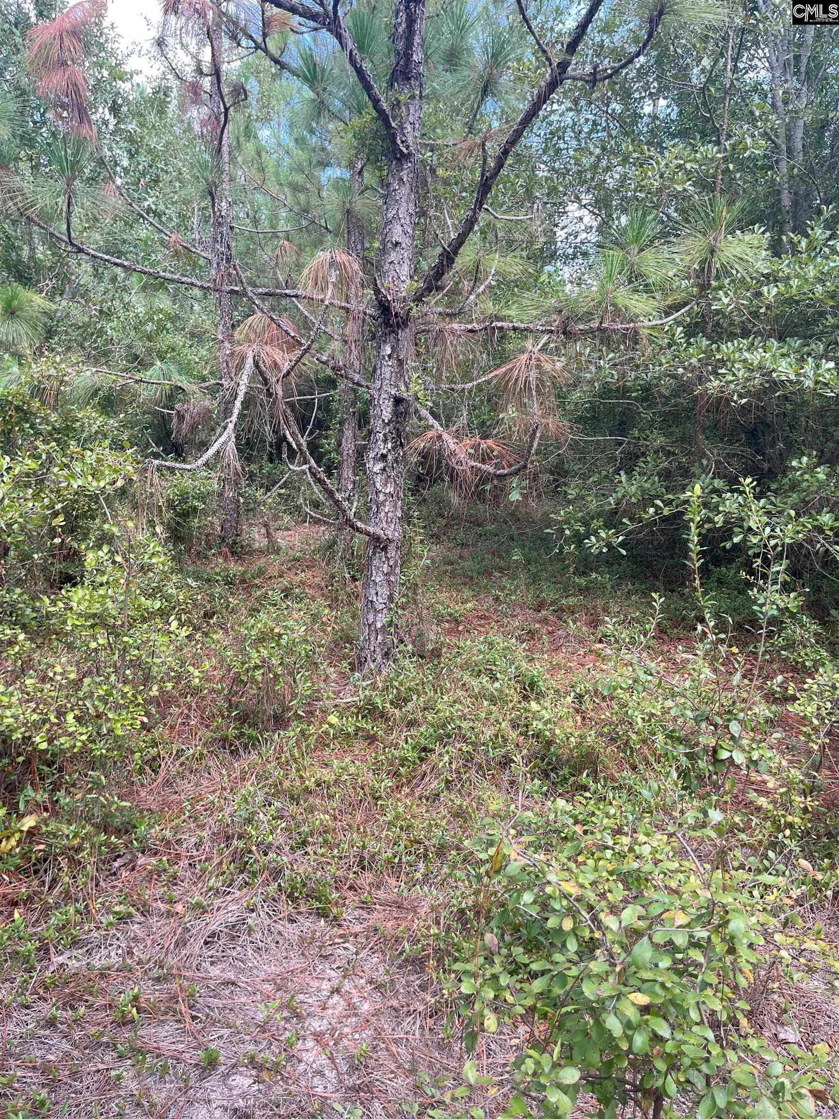 PPF 17 Payne Pond Road Westville, SC 29175