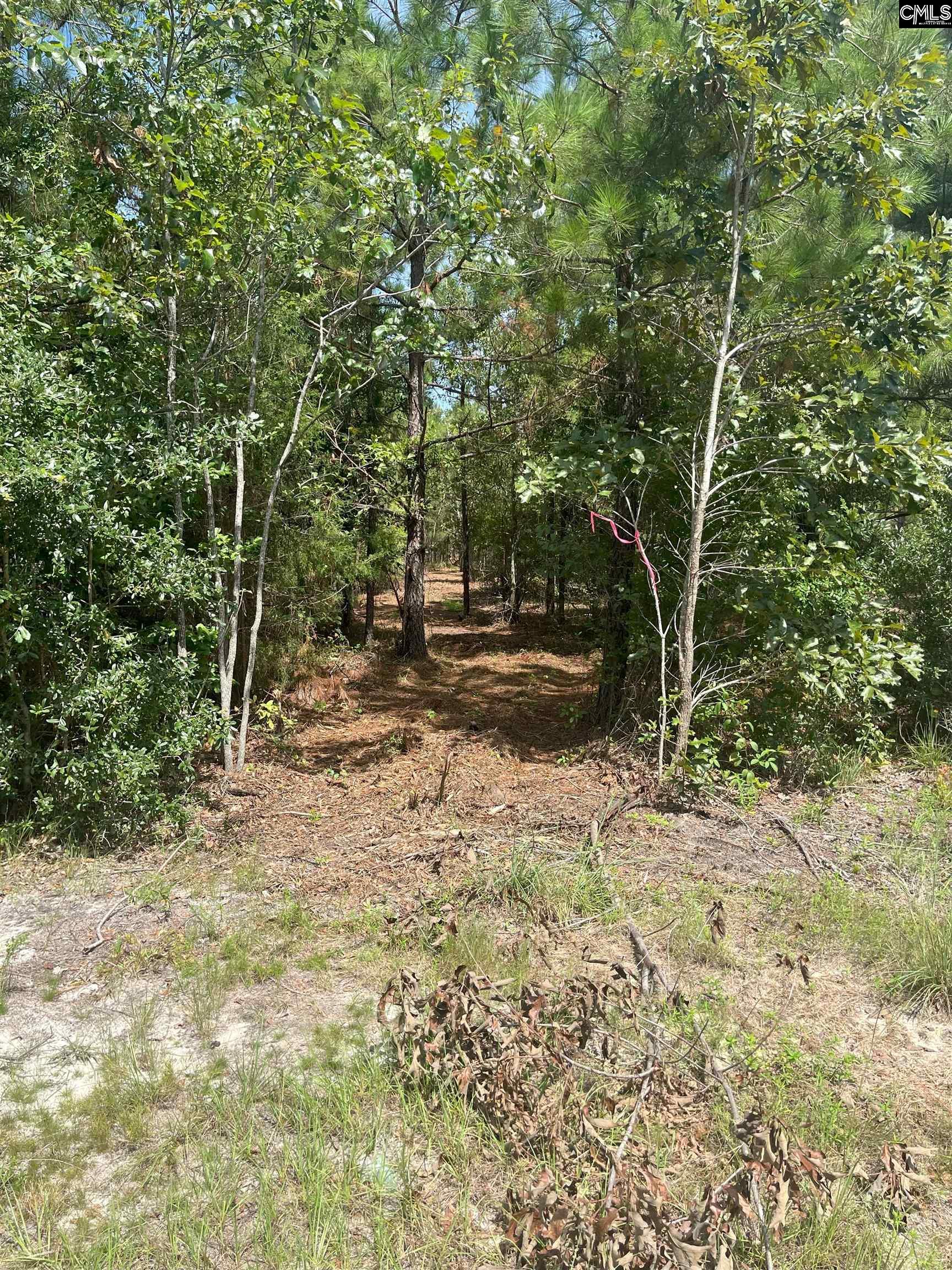 PPF 17 Payne Pond Road Westville, SC 29175
