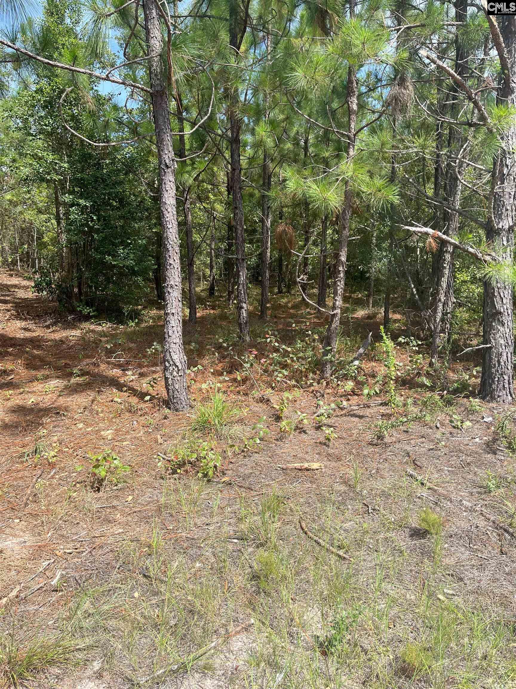 PPF 17 Payne Pond Road Westville, SC 29175