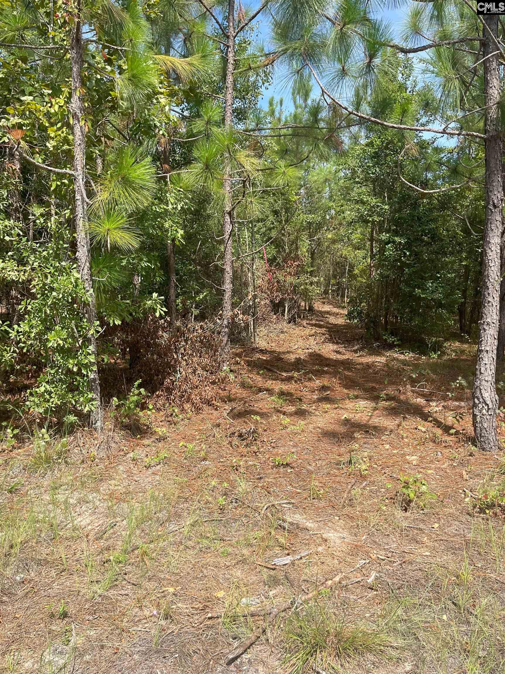 PPF 17 Payne Pond Road Westville, SC 29175
