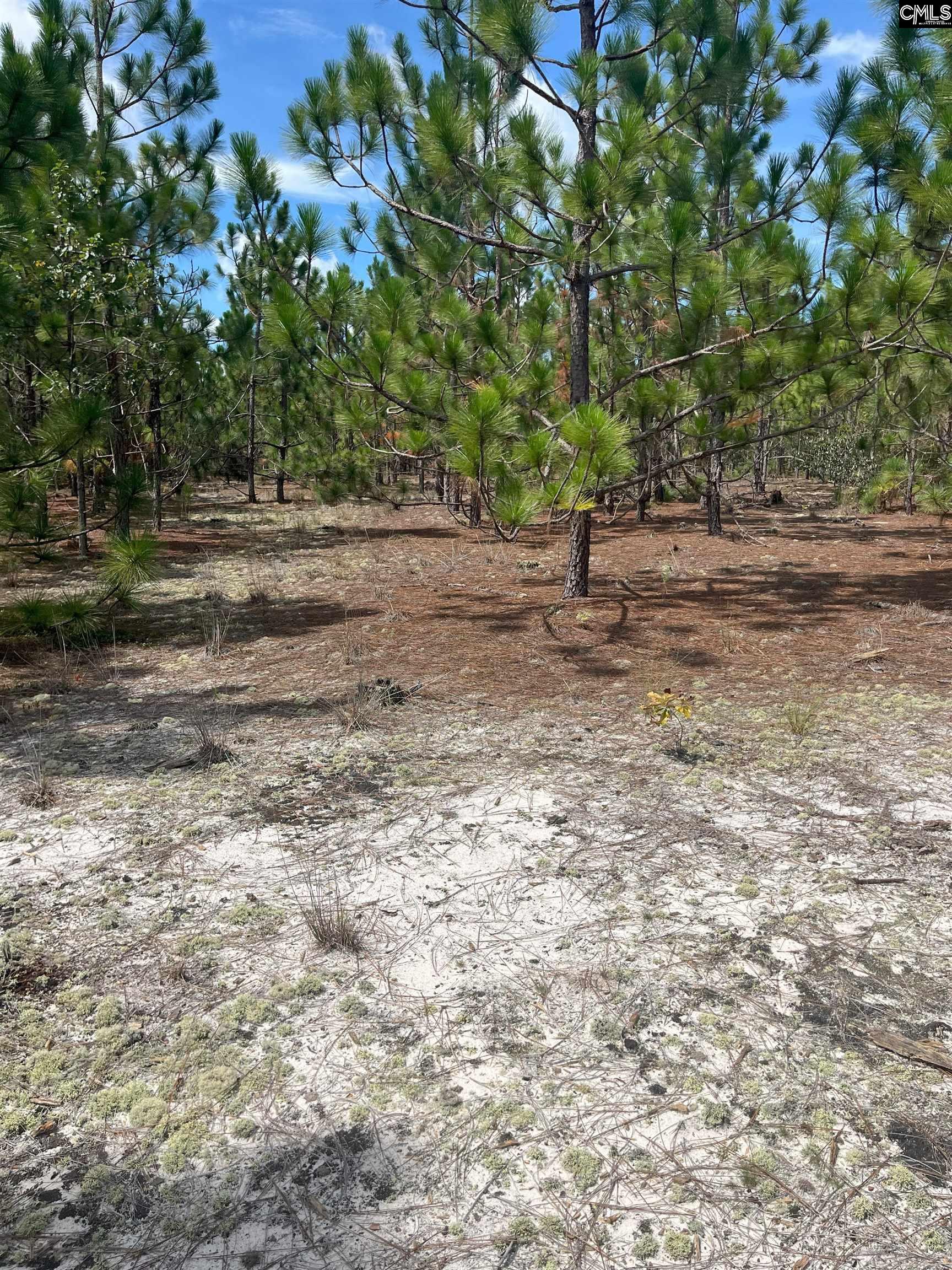 PPF 17 Payne Pond Road Westville, SC 29175