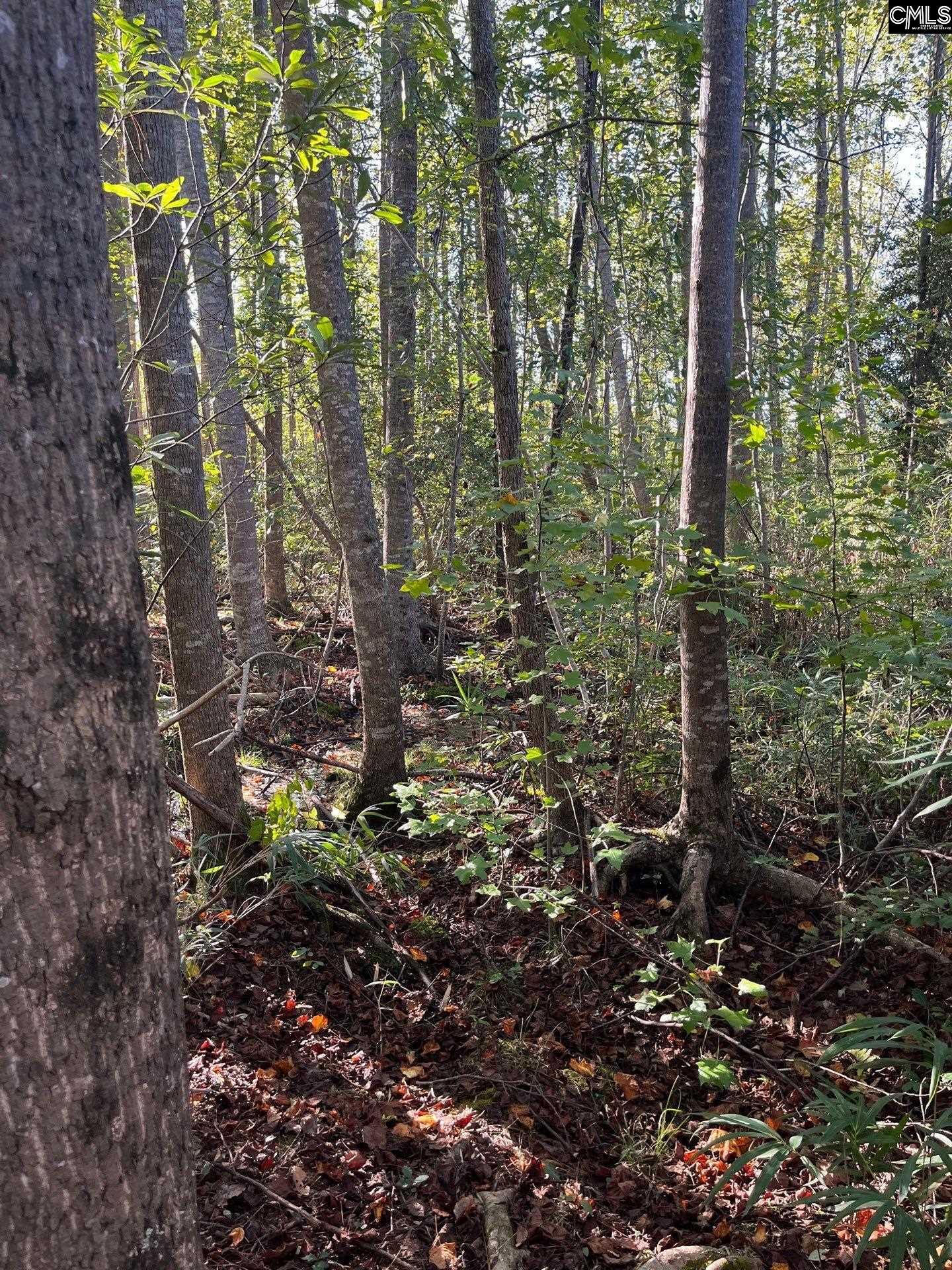 PPF 18 Payne Pond Road