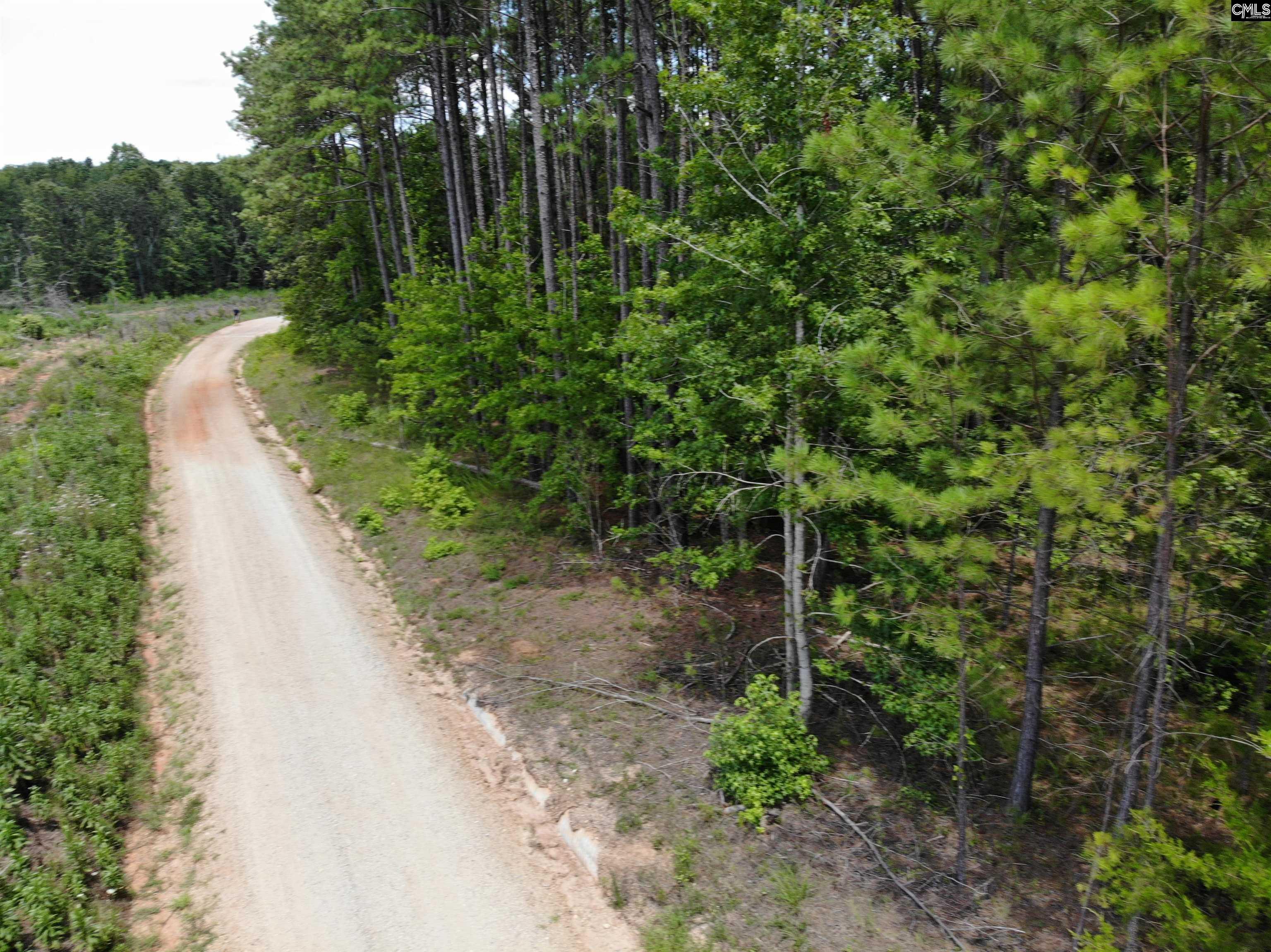 Lot 103 Pineland Road UNIT Lot 103 Chappells, SC 29037