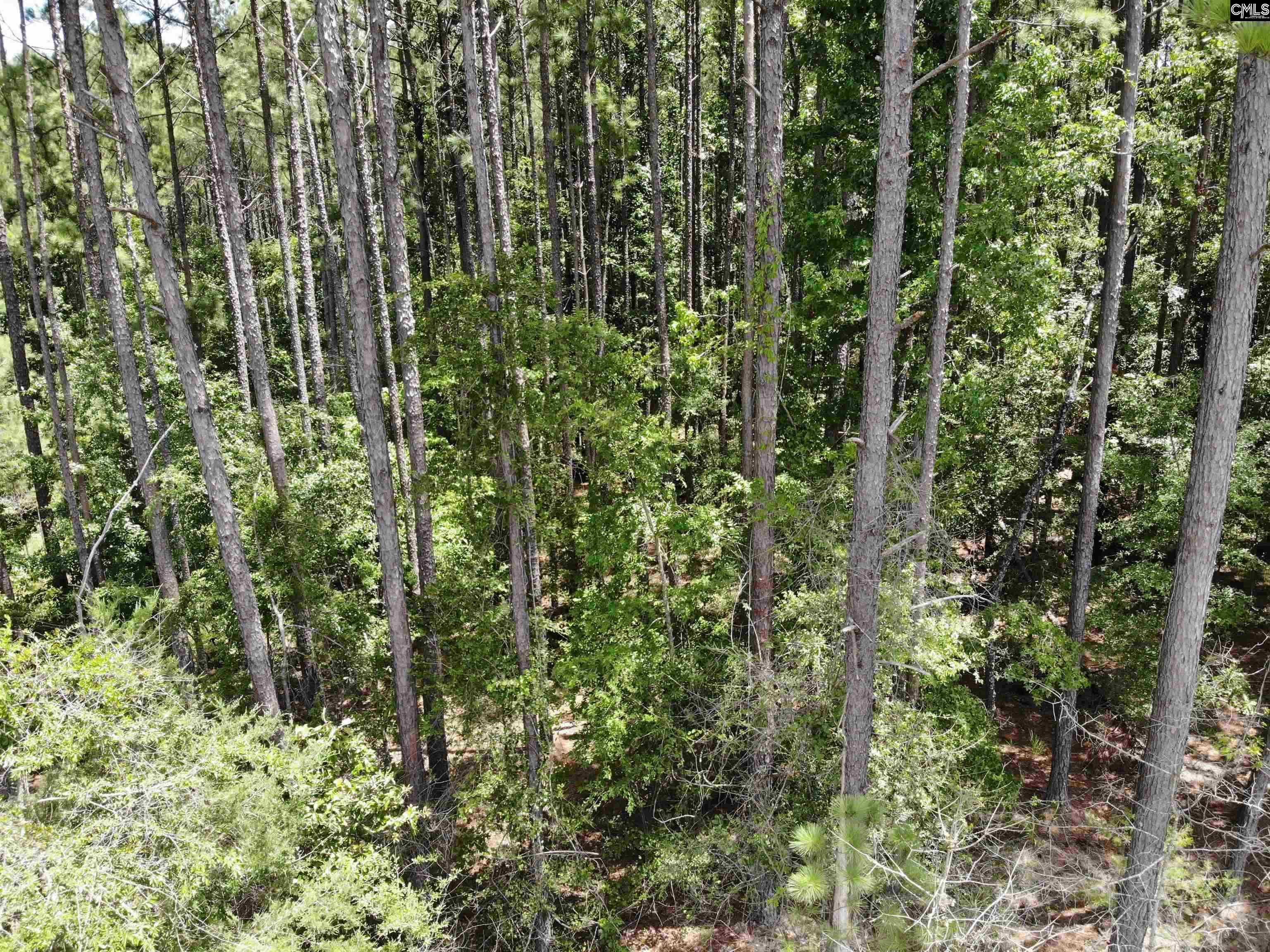 Lot 103 Pineland Road UNIT Lot 103 Chappells, SC 29037