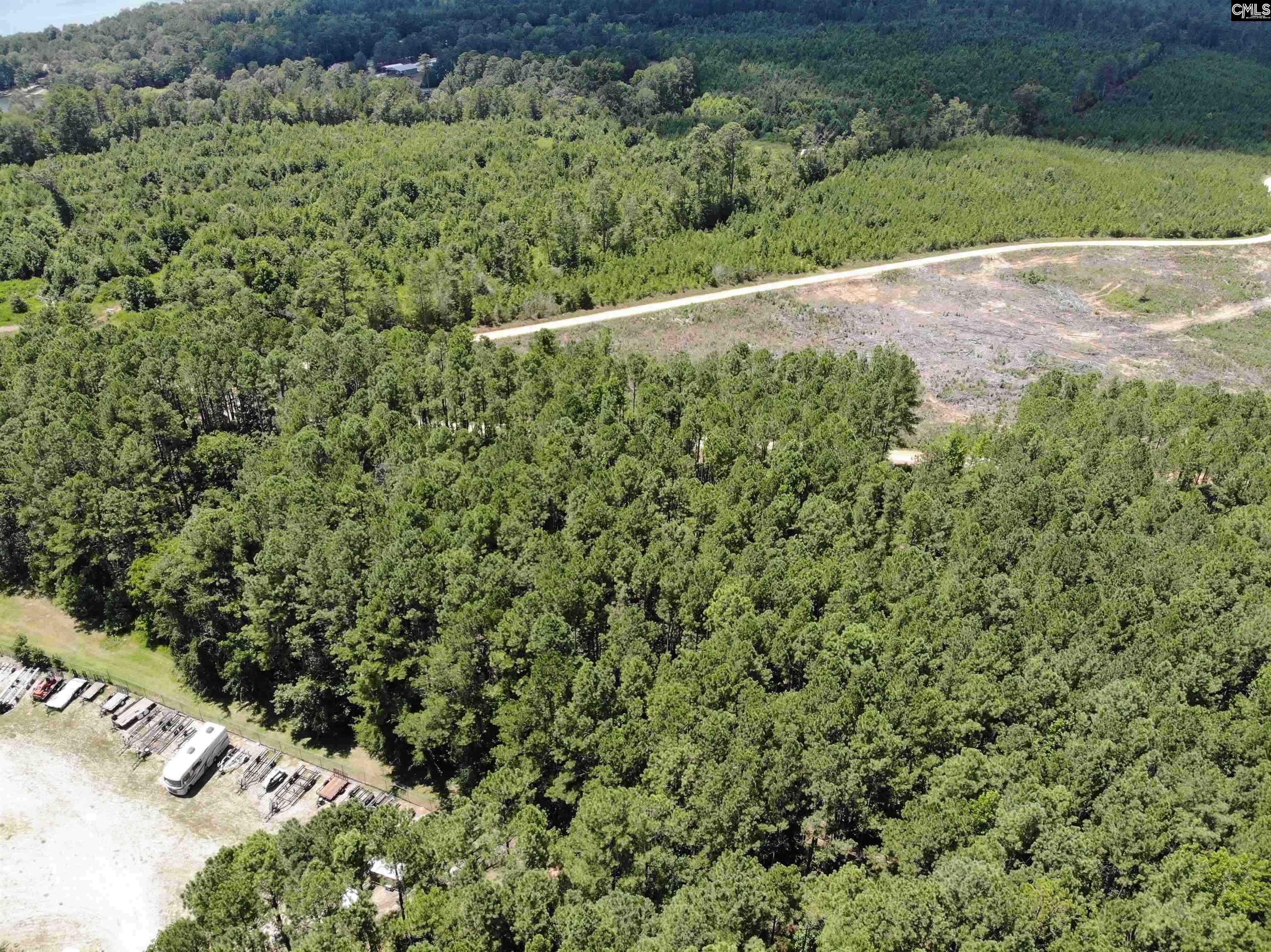 Lot 103 Pineland Road UNIT Lot 103 Chappells, SC 29037