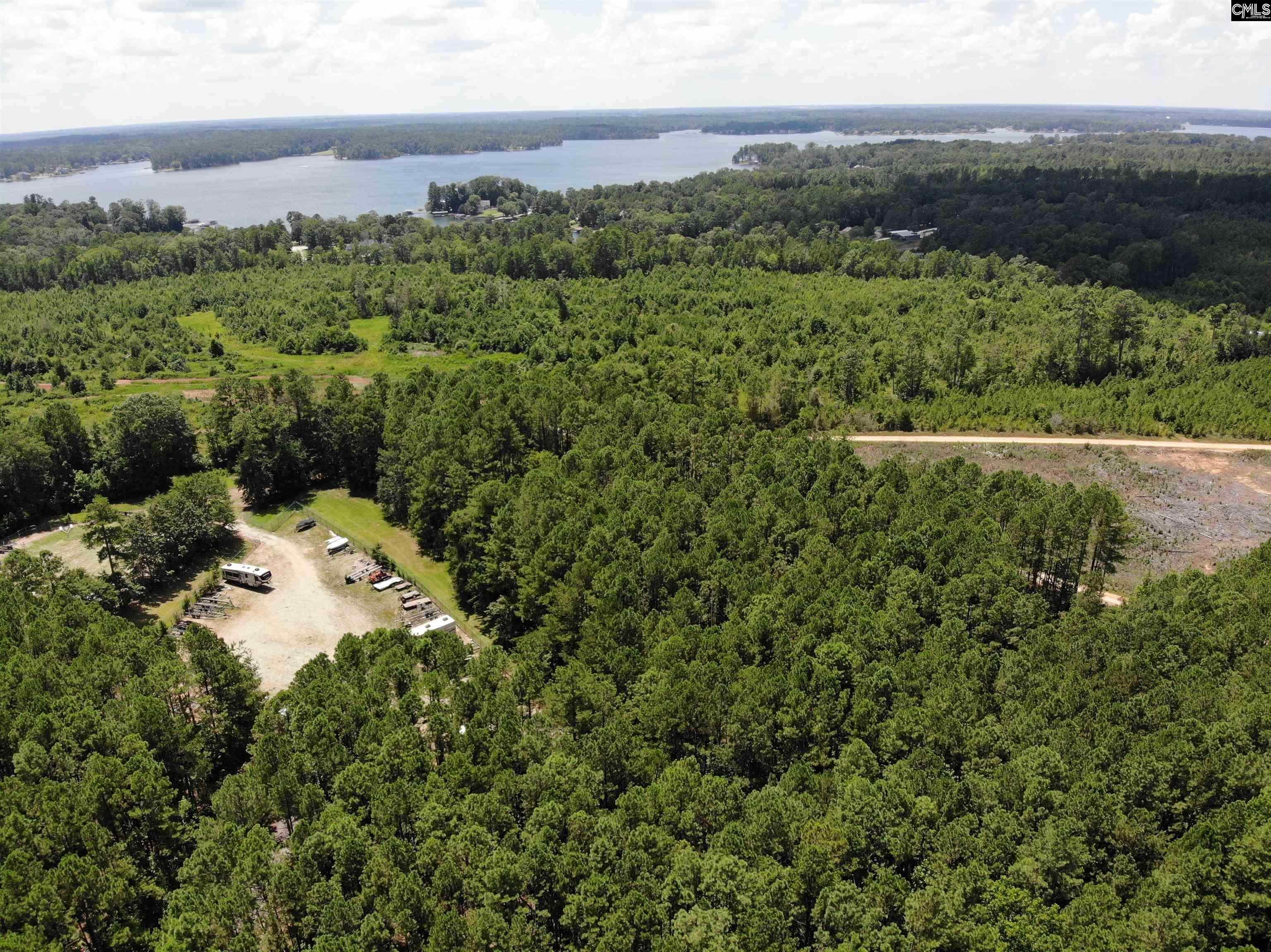 Lot 103 Pineland Road UNIT Lot 103 Chappells, SC 29037