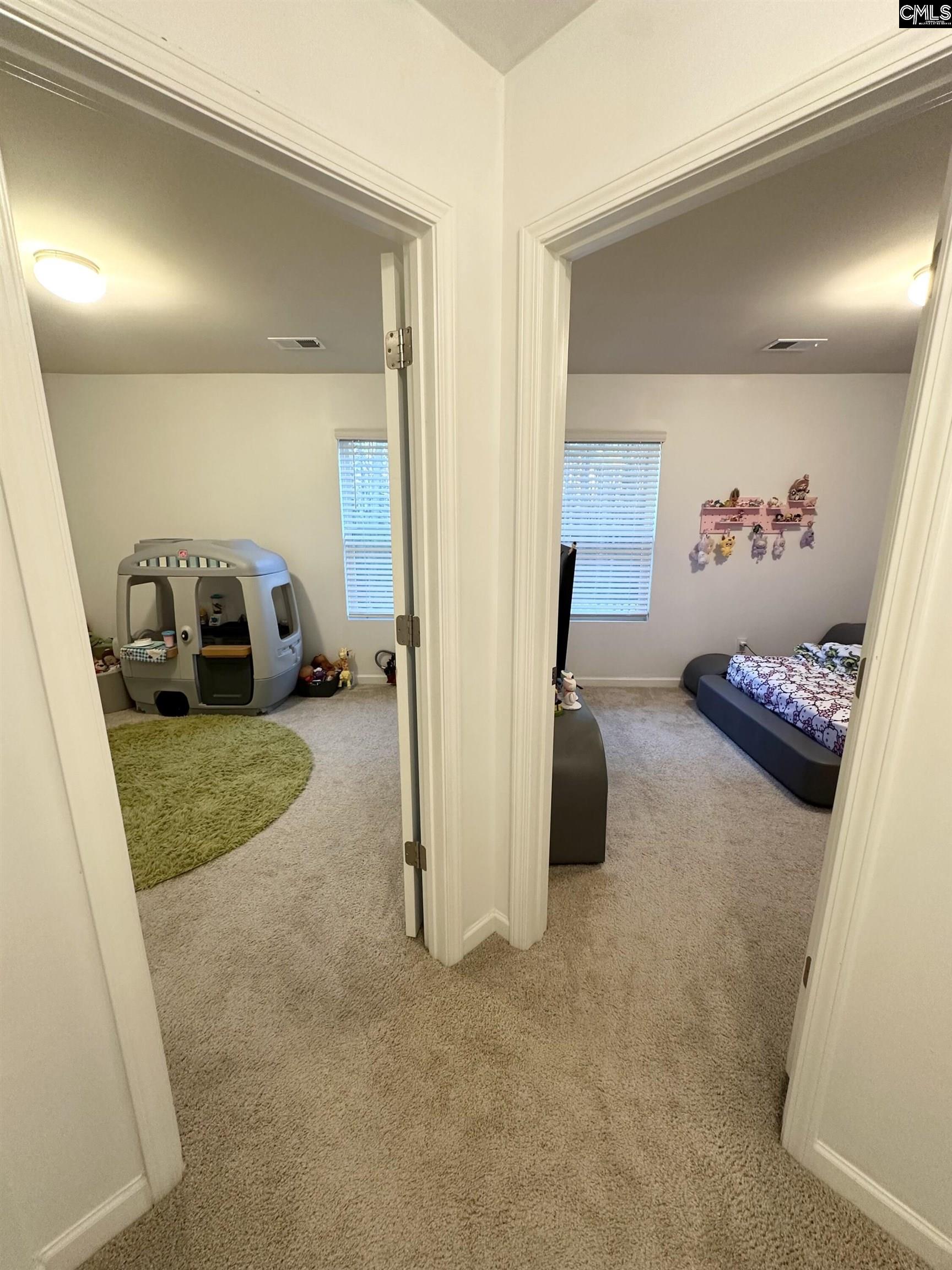 240 Bickley View Court Chapin, SC 29036