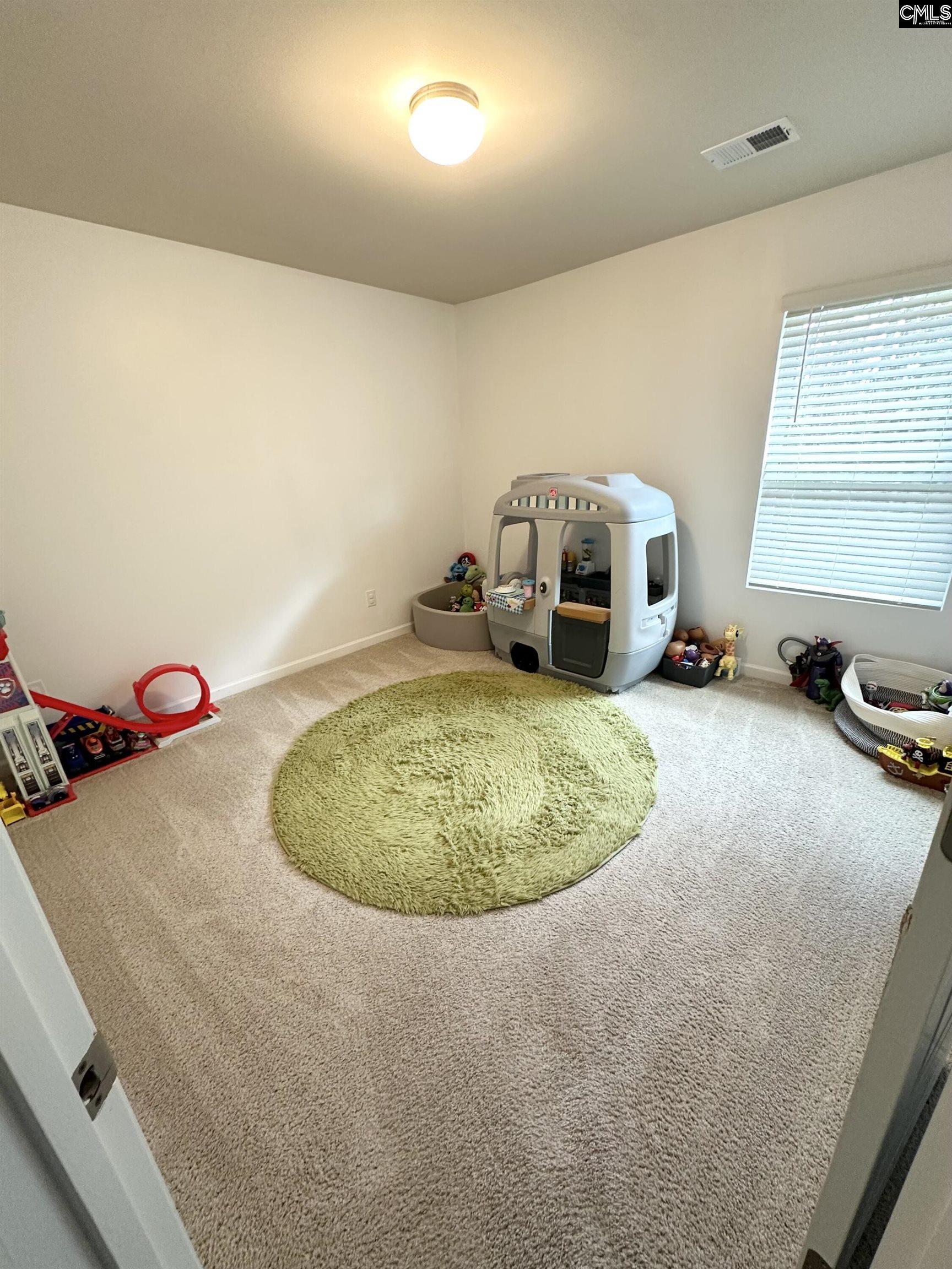 240 Bickley View Court Chapin, SC 29036