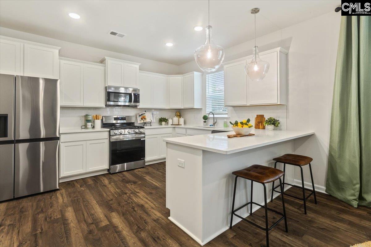 515 Blue Jay Way Lexington, SC 29073