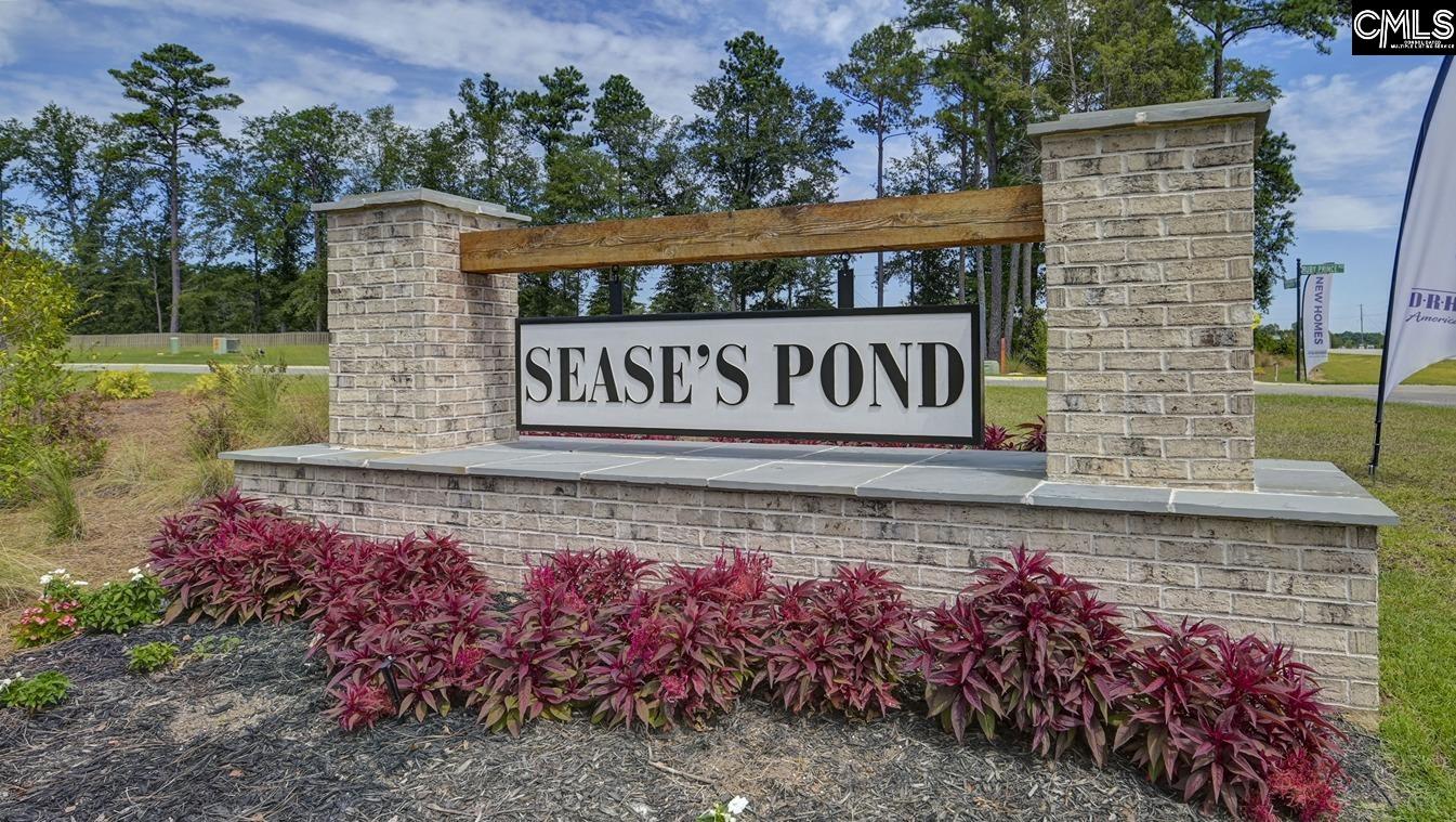 333 Babcock Way Gilbert, SC 29054