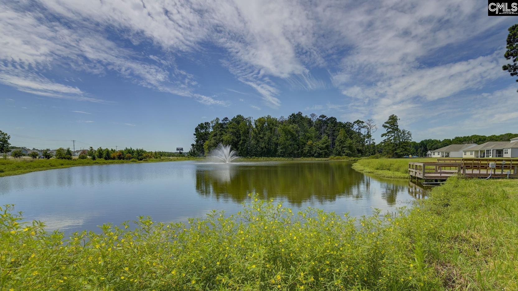 202 Ruby Prince Road Gilbert, SC 29054