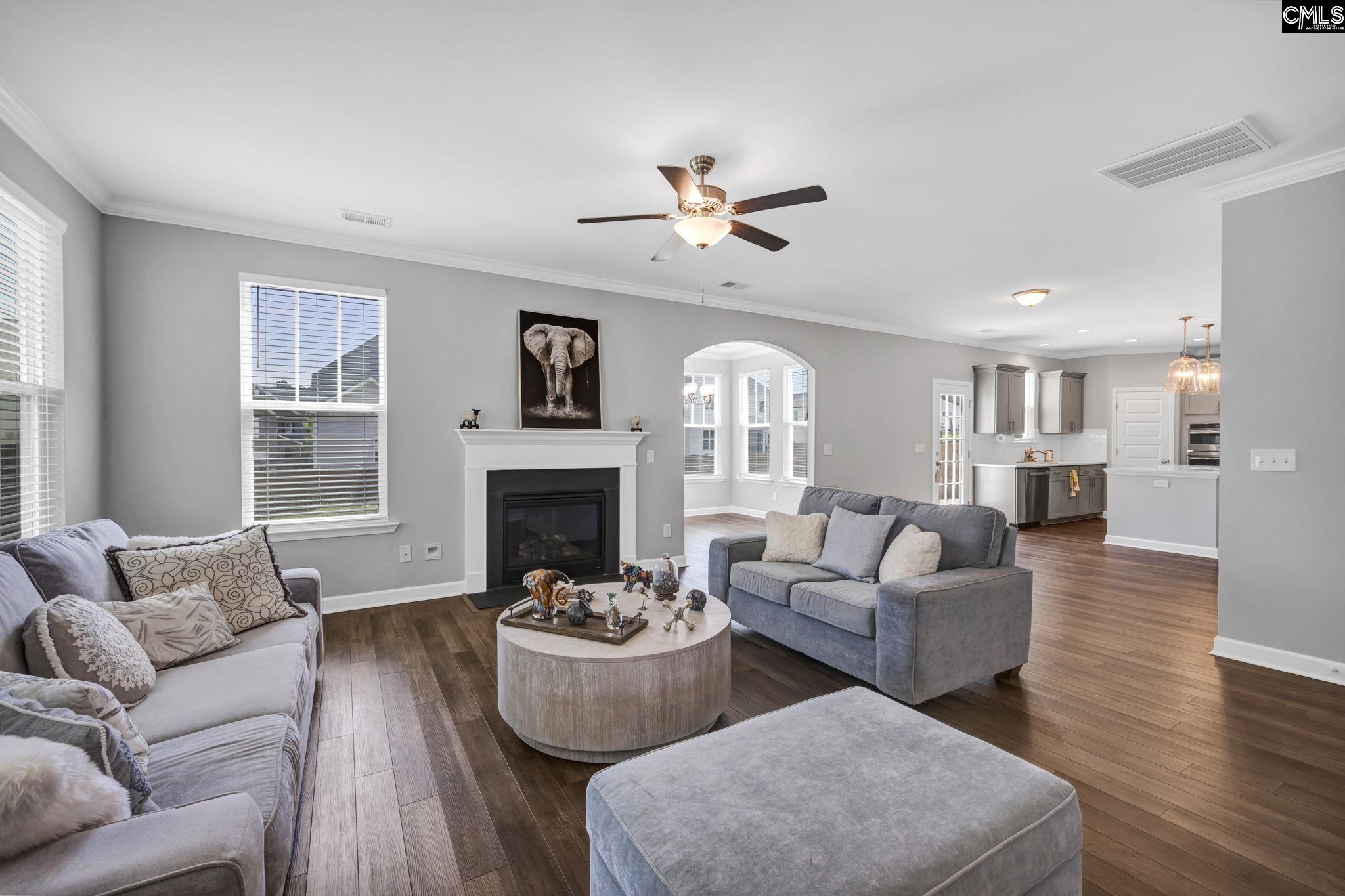 1318 Portrait Hill Drive Chapin, SC 29036