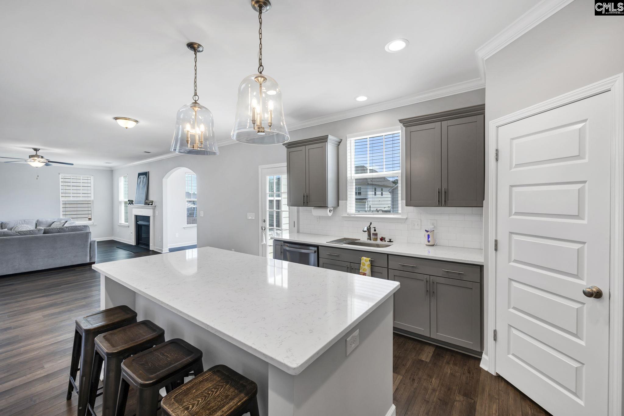 1318 Portrait Hill Drive Chapin, SC 29036