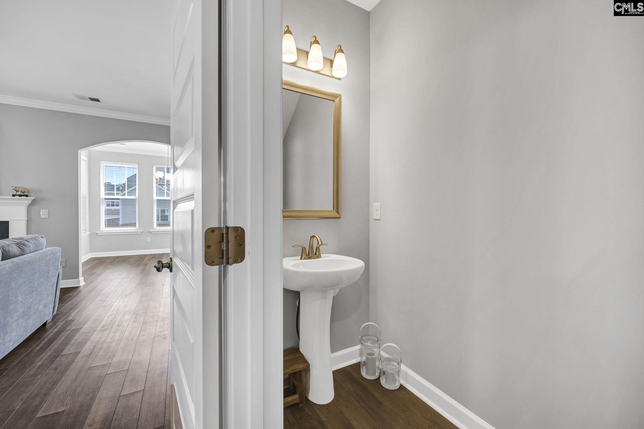 1318 Portrait Hill Drive Chapin, SC 29036