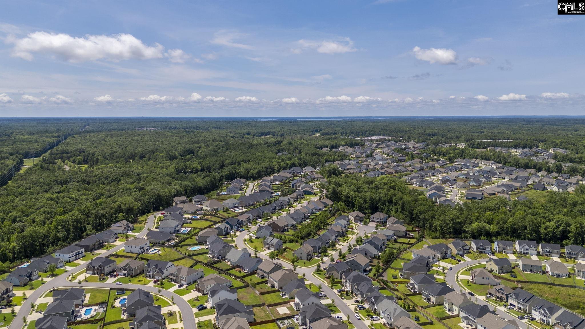 1318 Portrait Hill Drive Chapin, SC 29036