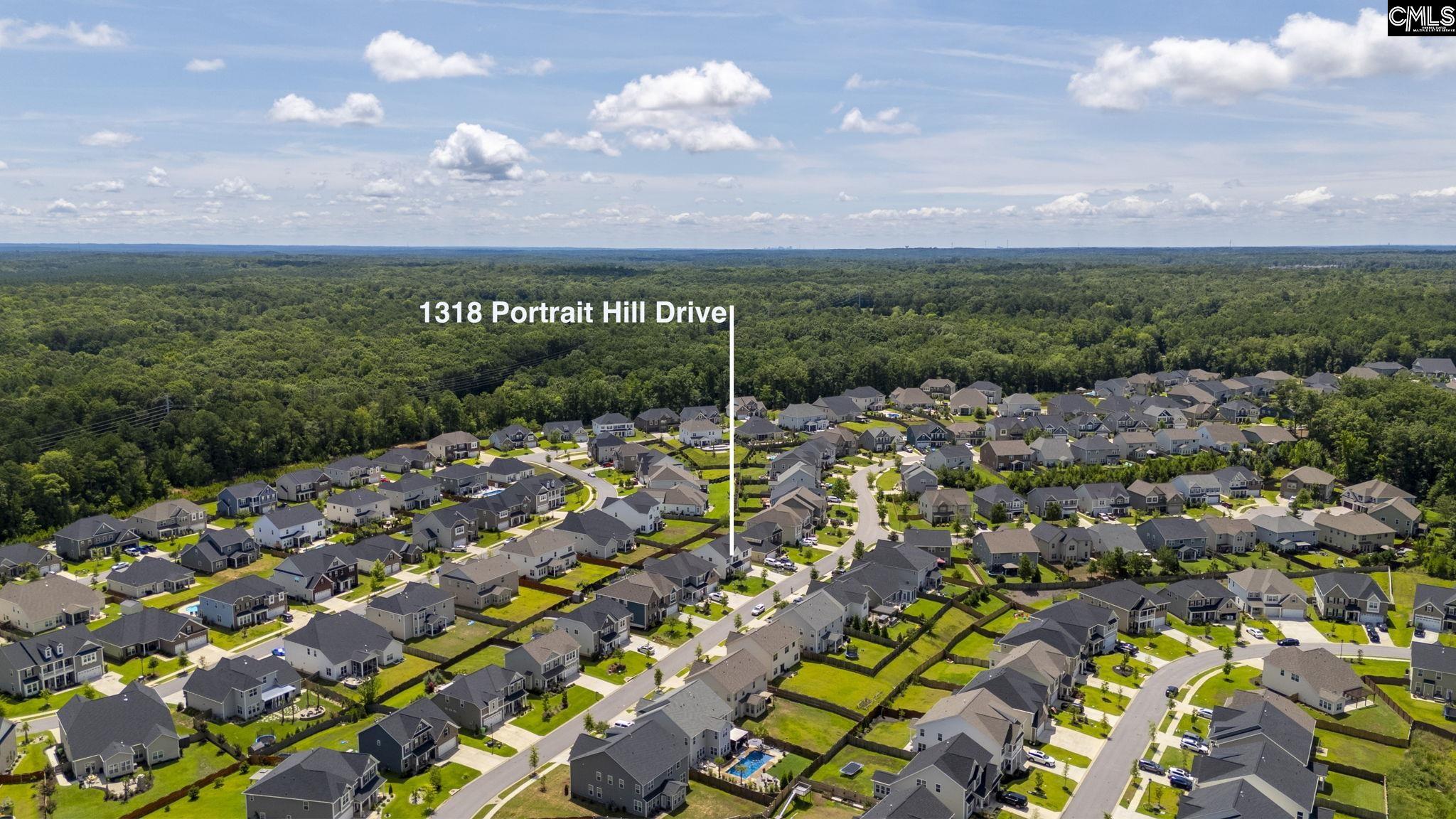 1318 Portrait Hill Drive Chapin, SC 29036