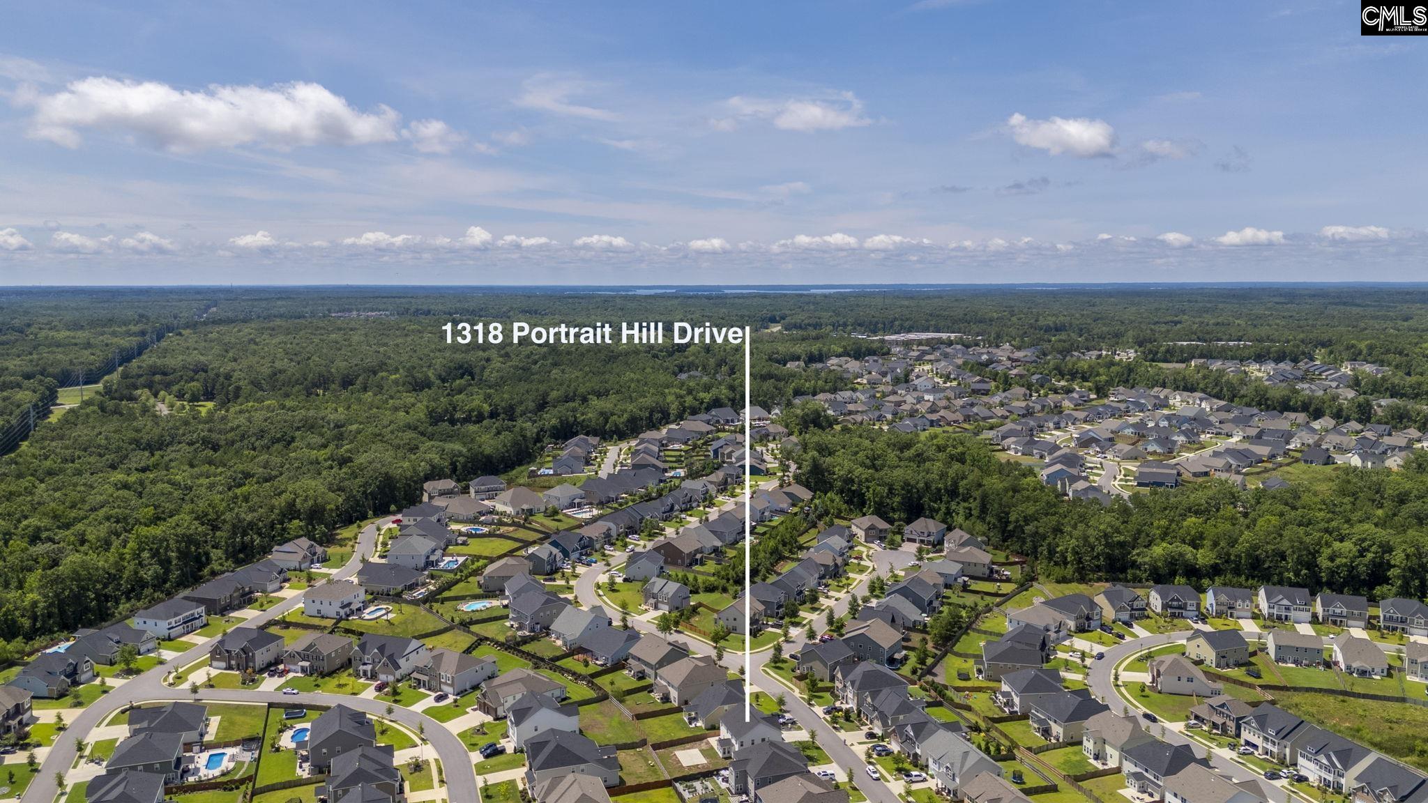 1318 Portrait Hill Drive Chapin, SC 29036