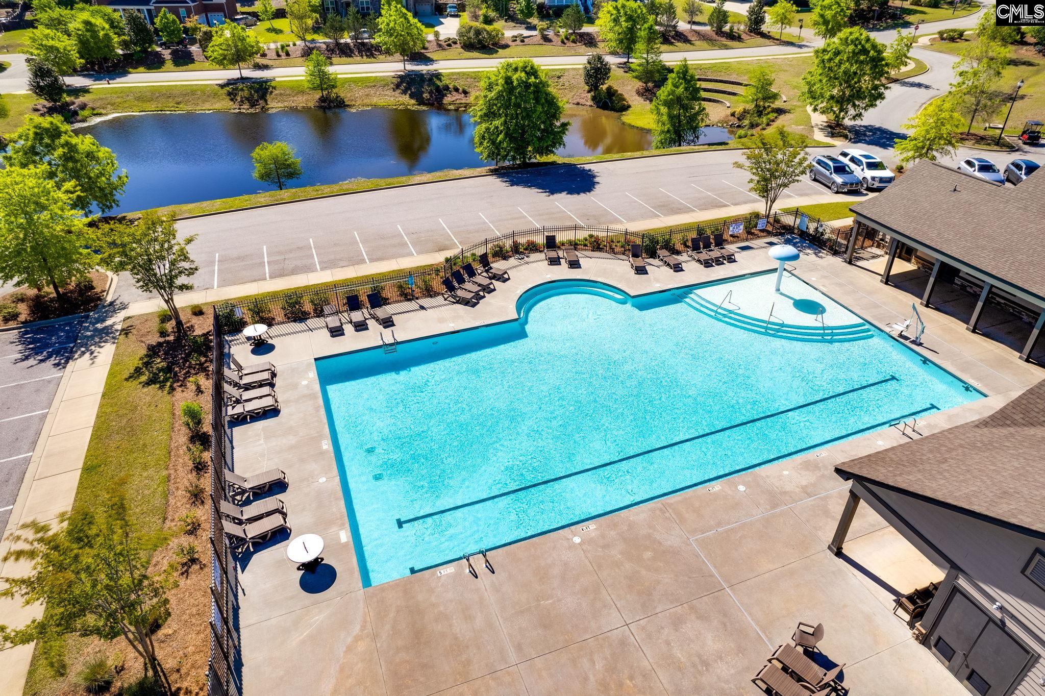 1318 Portrait Hill Drive Chapin, SC 29036
