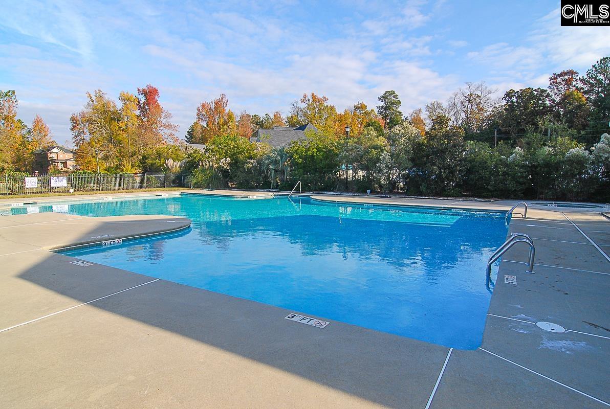 229 Bent Oak Drive Chapin, SC 29036