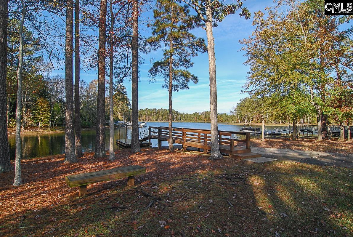 229 Bent Oak Drive Chapin, SC 29036