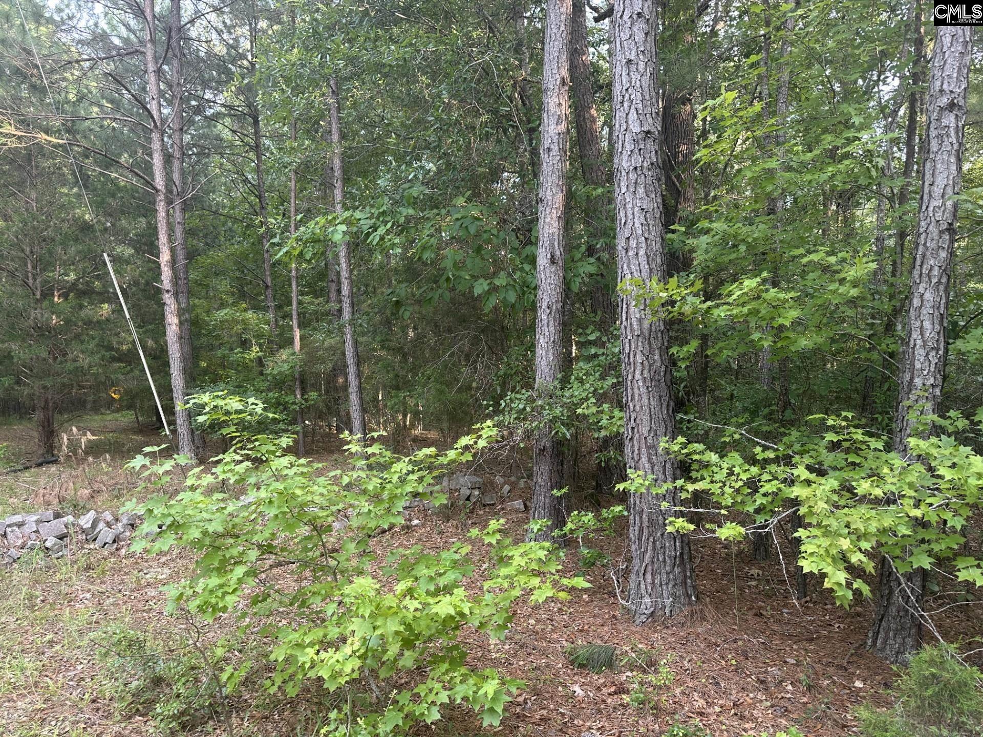 320 Dewdrop Drive Ridgeway, SC 29130