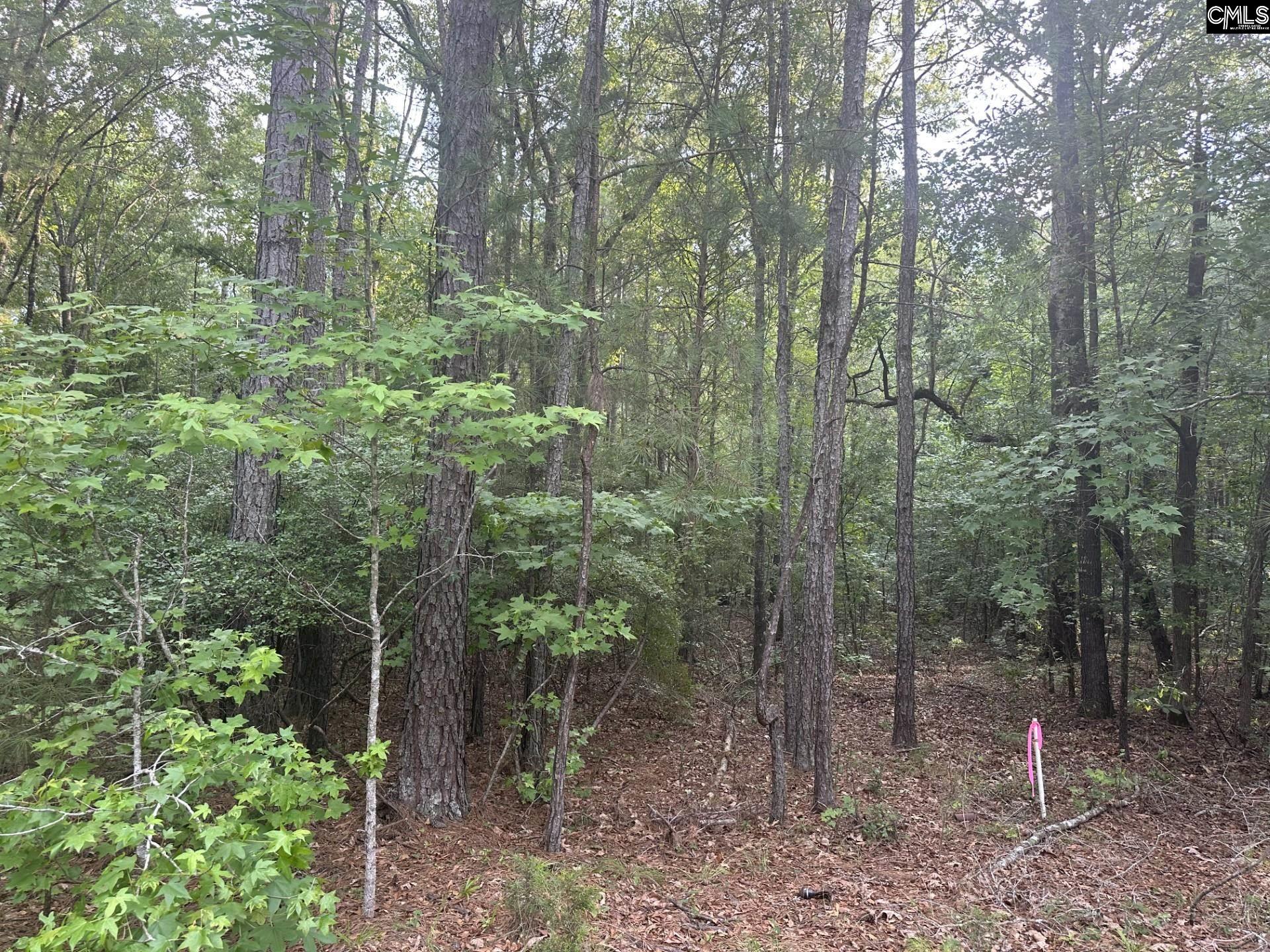320 Dewdrop Drive Ridgeway, SC 29130