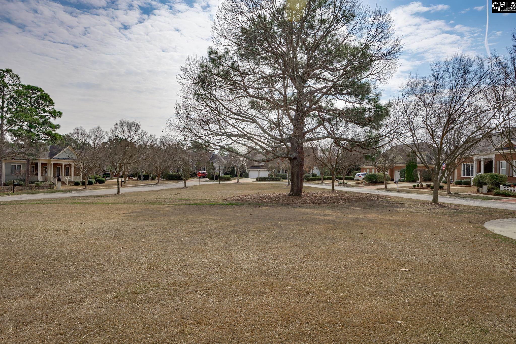 117 Parish Walk Elgin, SC 29045-8698