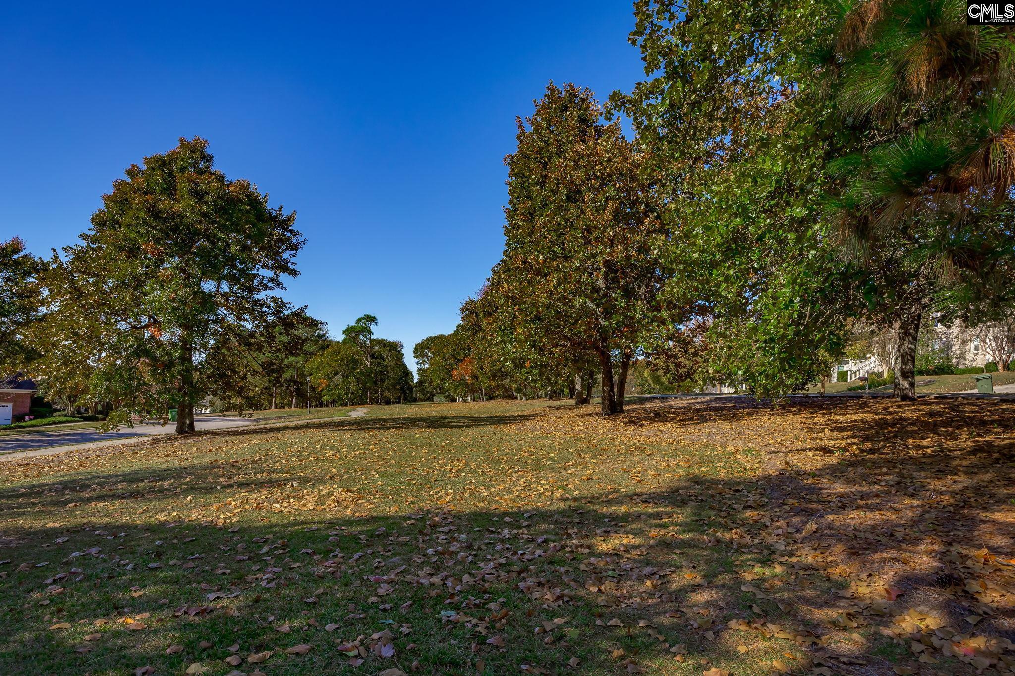 117 Parish Walk Elgin, SC 29045-8698