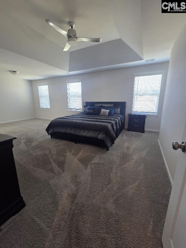 247 Ashewicke Drive Columbia, SC 29229