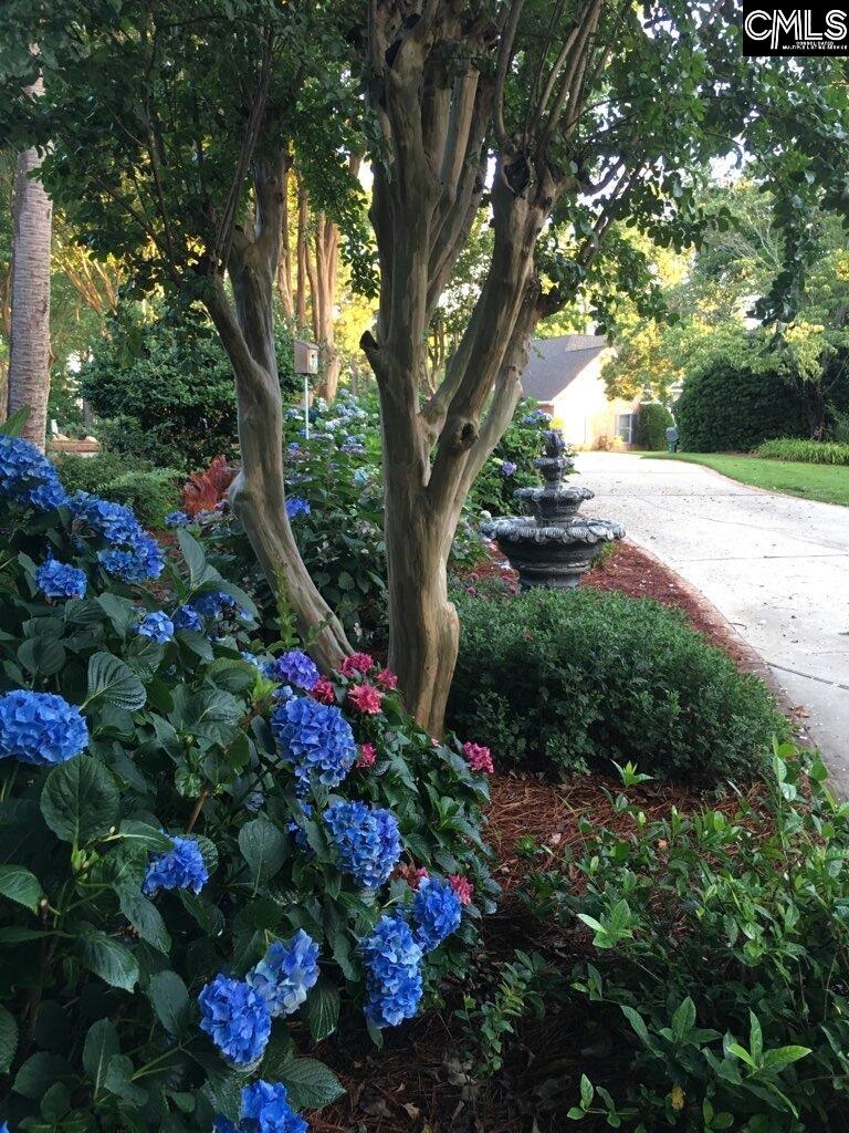 449 Lake Estate Drive Chapin, SC 29036