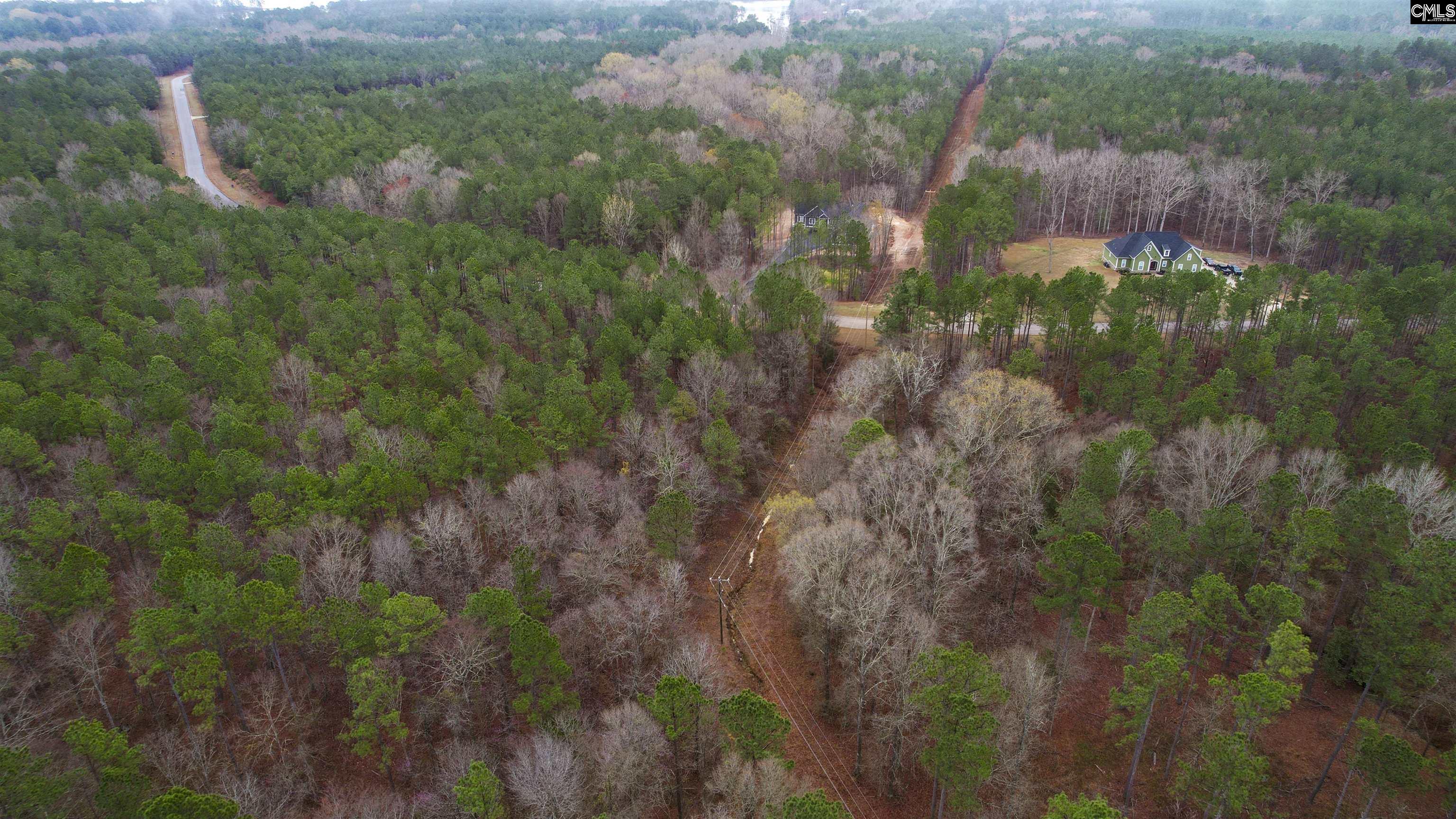 Lot 4 Retreat Way UNIT Lot 4 Ridgeway, SC 29130